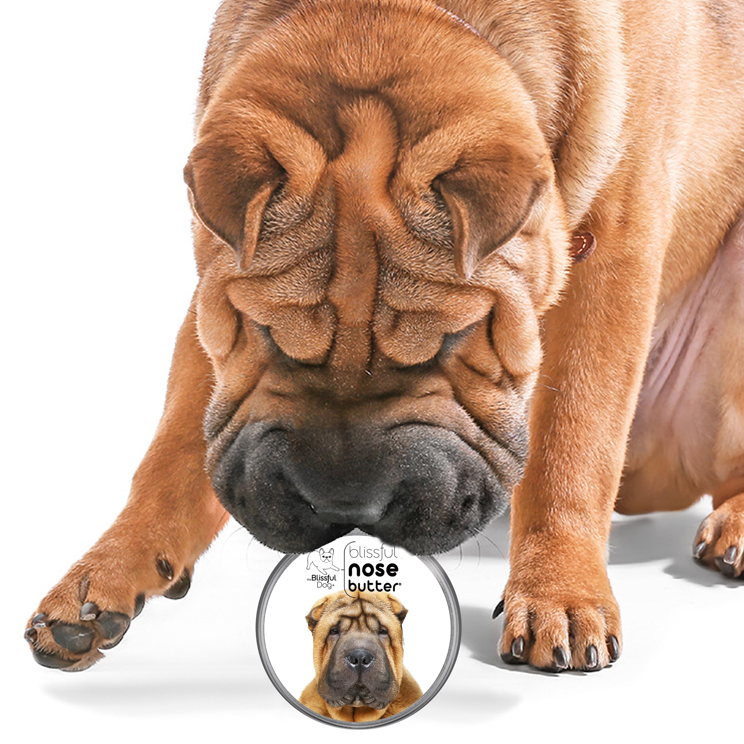 The Blissful Dog Chinese Shar-Pei Unscented Nose Butter Tin, 8-Ounce