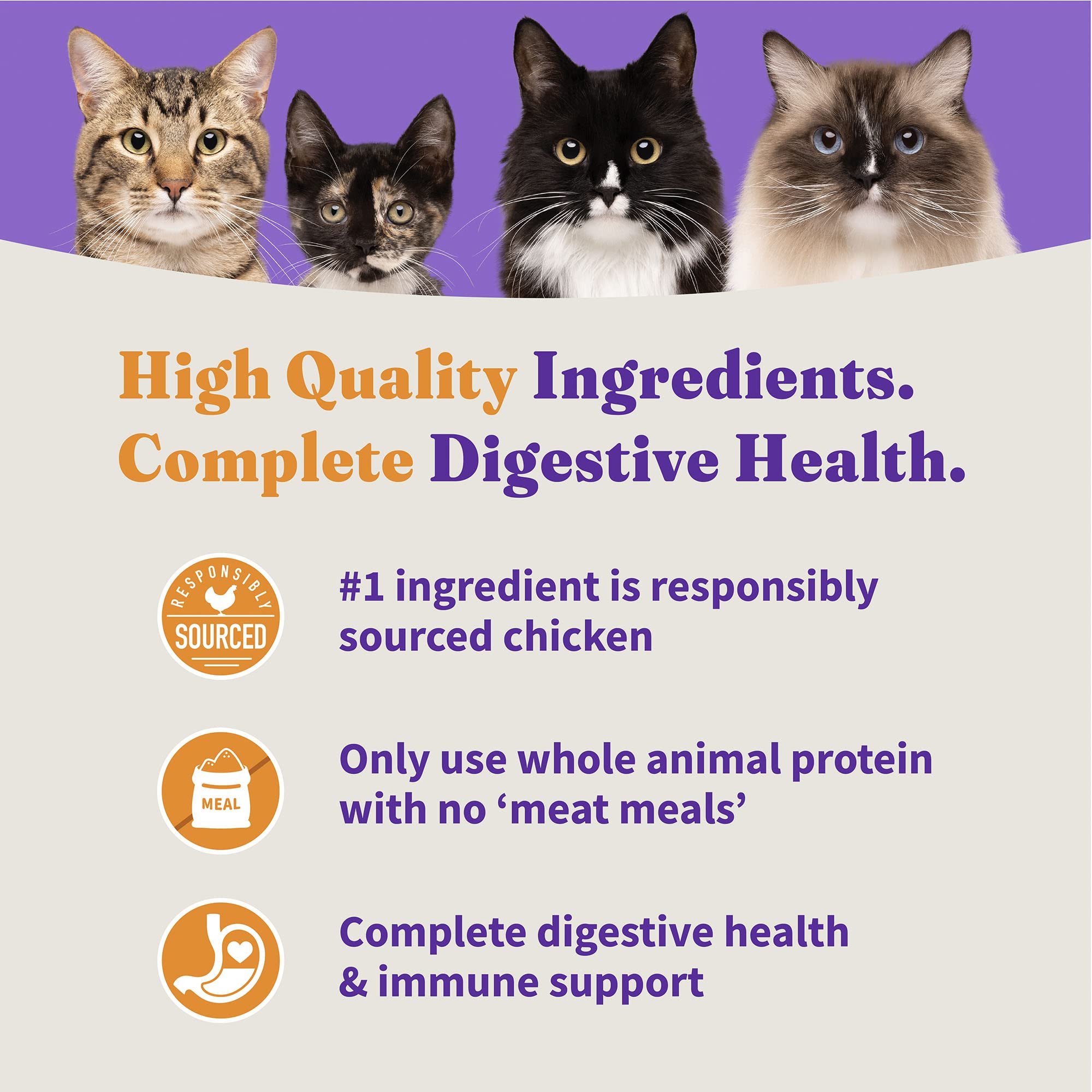 Halo Holistic Cat Food Dry, Cage-free Chicken Recipe, Complete Digestive Health, Dry Cat Food Bag, Adult Formula, 3-lb Bag