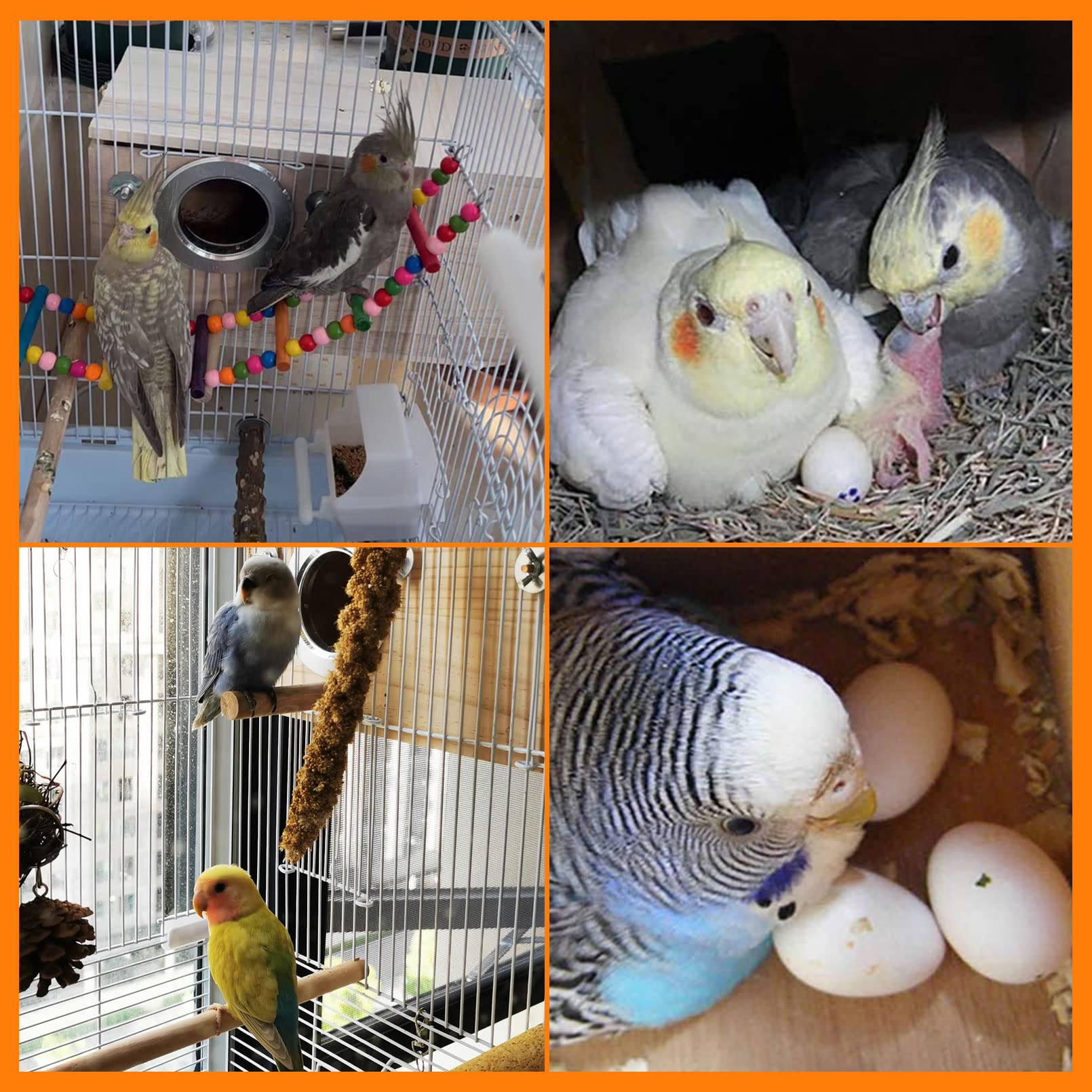 Parakeet Nest Box Budgie Nesting House Cockatiel Breeding Parrots Mating Box For Lovebirds Large And Medium-Sized Birds