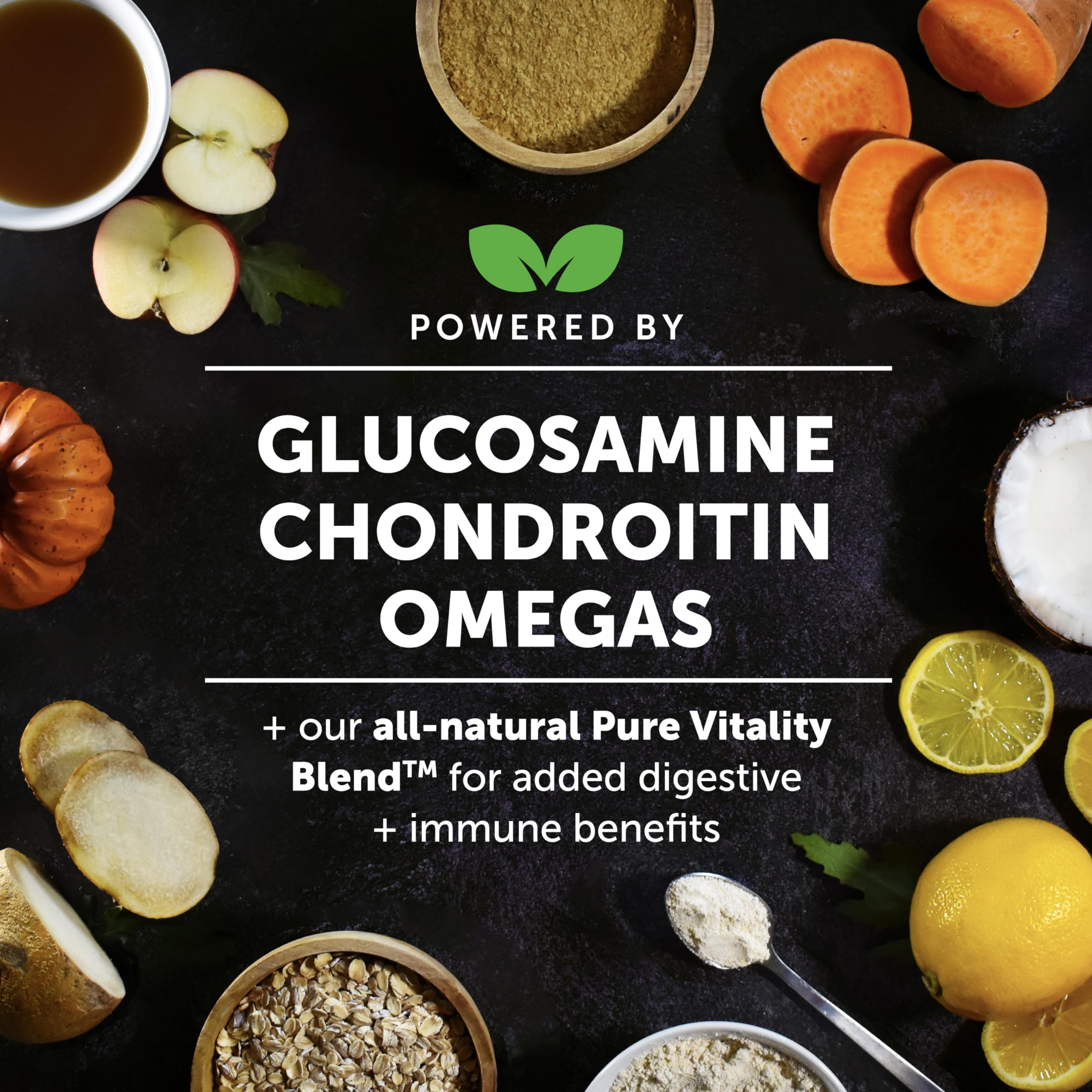 Hemp Hip & Joint Supplement for Dogs - Hemp Oil & Powder - Glucosamine Chondroitin for Dogs, Turmeric, MSM, Green-Lipped Mussel,