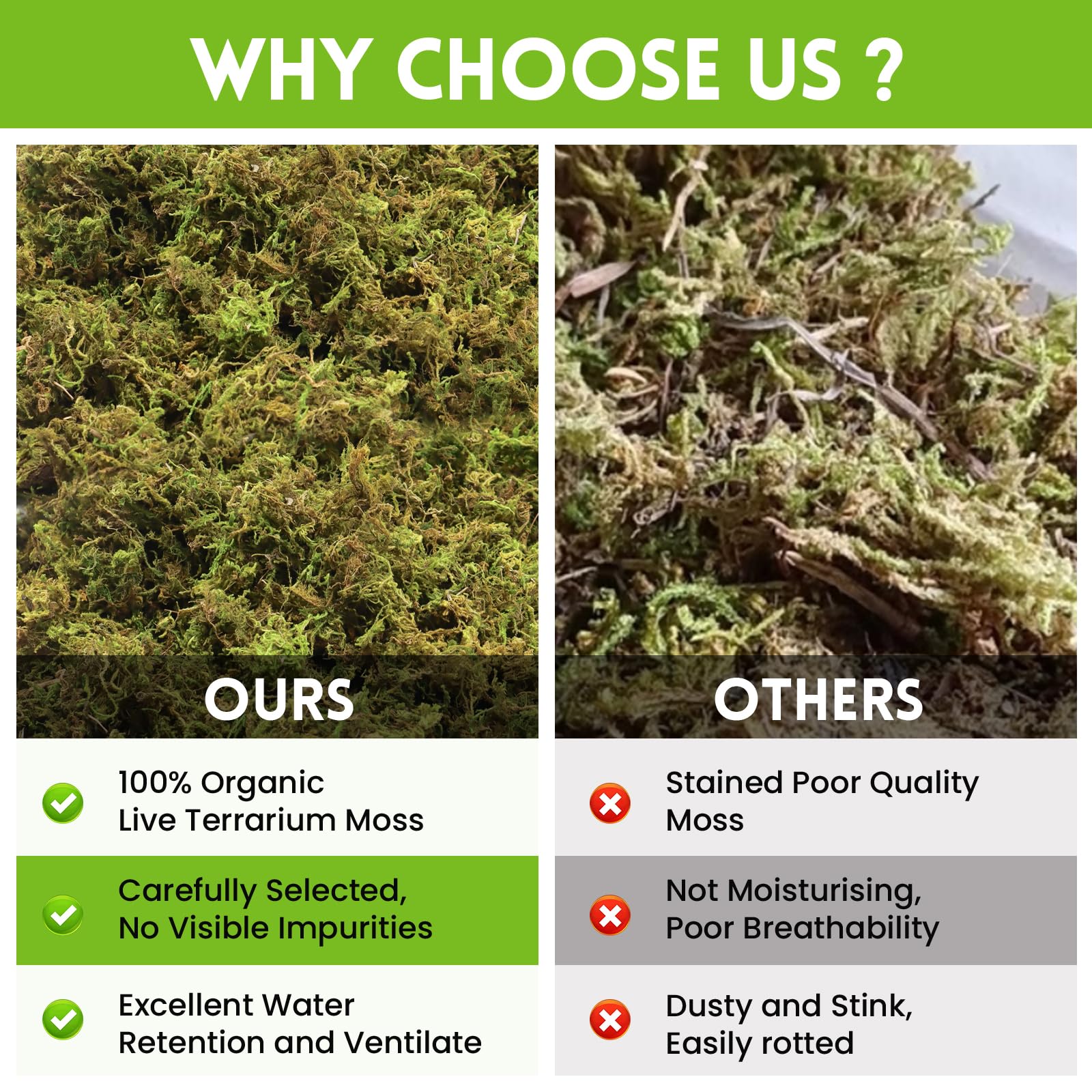 Riare Premium Sphagnum Moss for Reptiles - 3.5 OZ Natural Bedding for Terrariums, Snakes, Geckos, Turtles, Frogs