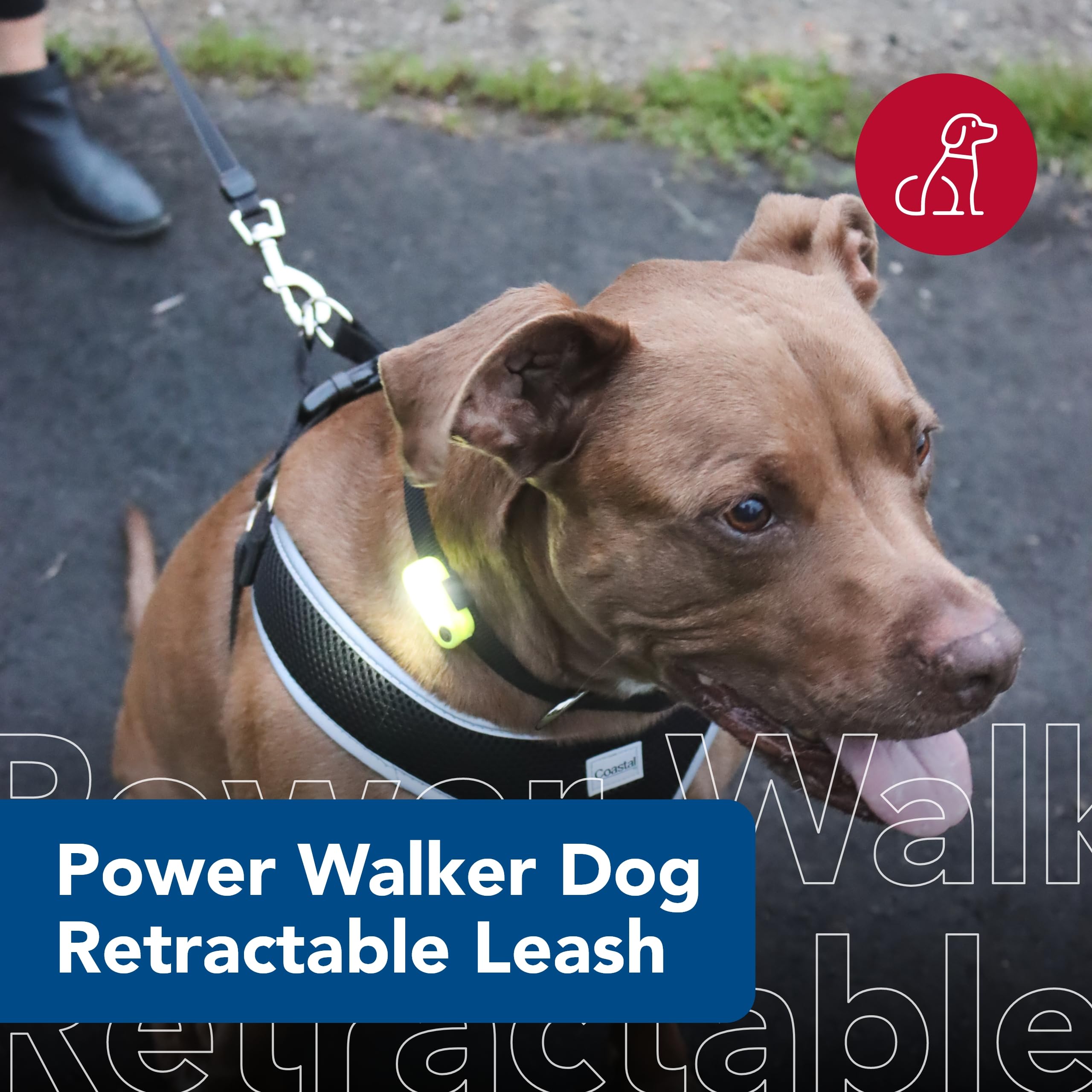 Coastal Pet Power Walker Dog Retractable Leash - Reflective Dog Leash - Stop-And-Release Control Button - Comfort Grip Handle - Black - X-Small