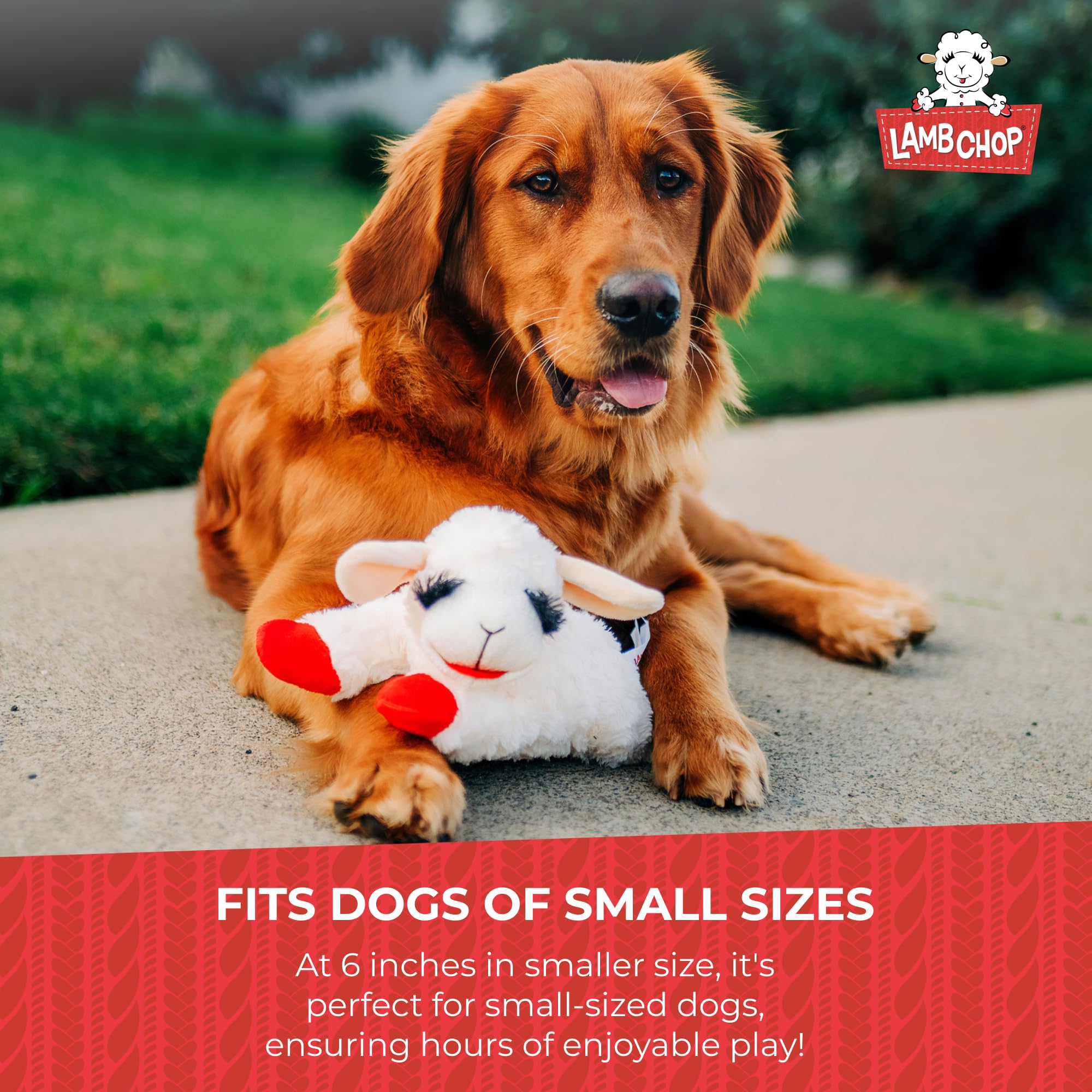 Multipet Lamb Chop Dog Plush Toy - Squeaky Dog Toy for All Dogs - Extra Soft Plush Dog Toy - Stuffed Animal Dog Toy for Cuddling