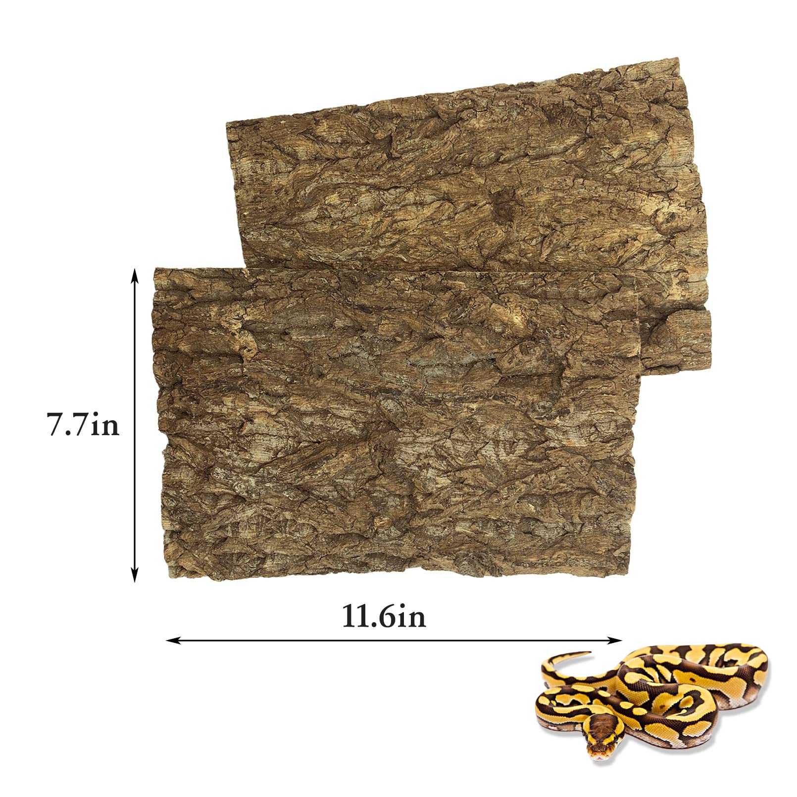 Tfwadmx 2Pcs Cork Terrarium Background 11.8   X7.9    Natural Cork Bark Backdrop Reptile Background Climbing Wall Terrarium Acce