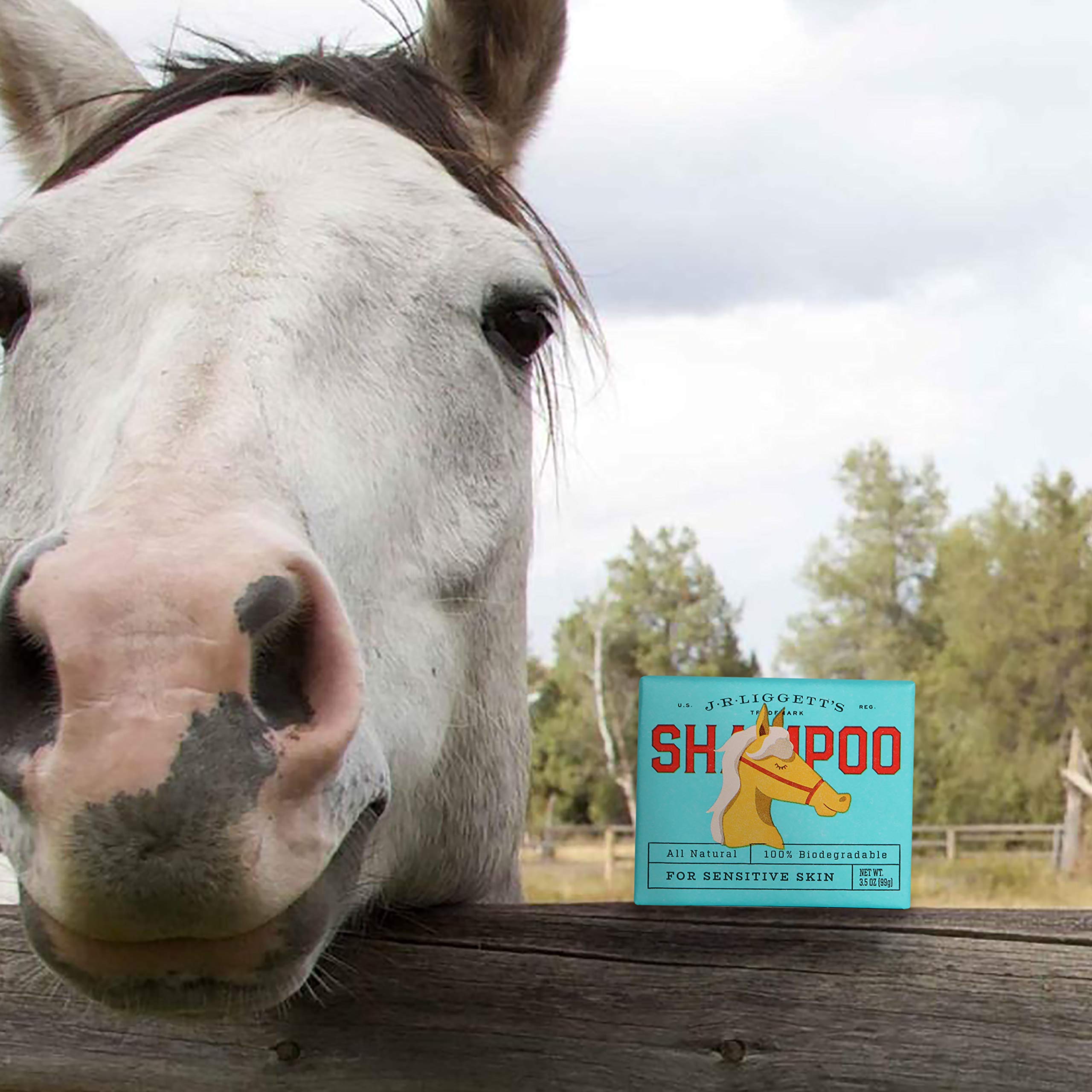 Jrliggett'S Horse Mane And Tail Shampoo Bar Great For Sensitive Skin | Relieves Dry, Itchy Skin | Hypoallergenic Formula, Biodeg