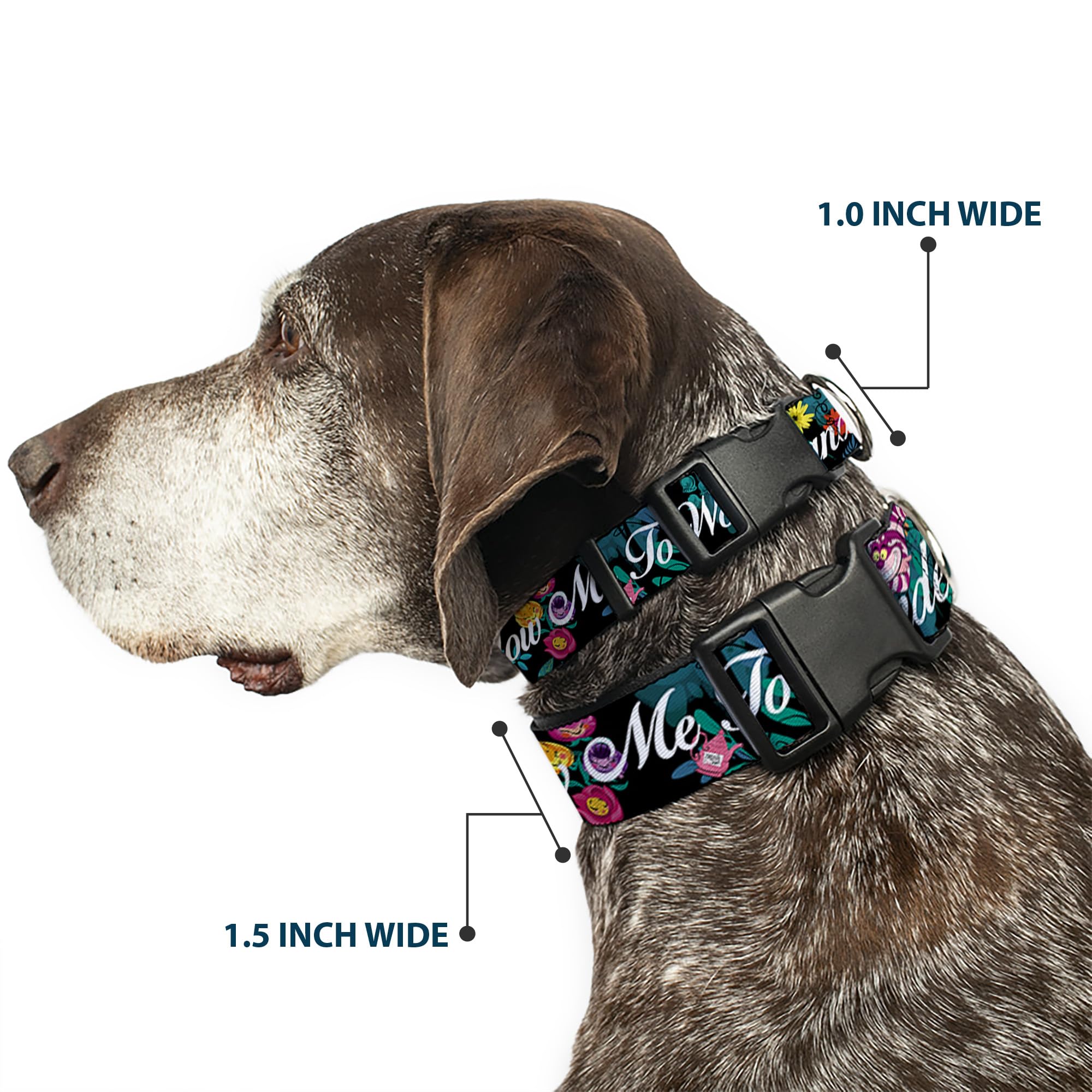 Buckle-Down Alice/Cheshire Cat/Flowers Poses2/Follow Me To Wonderland Plastic Clip Collar, Wide Small/13-18''