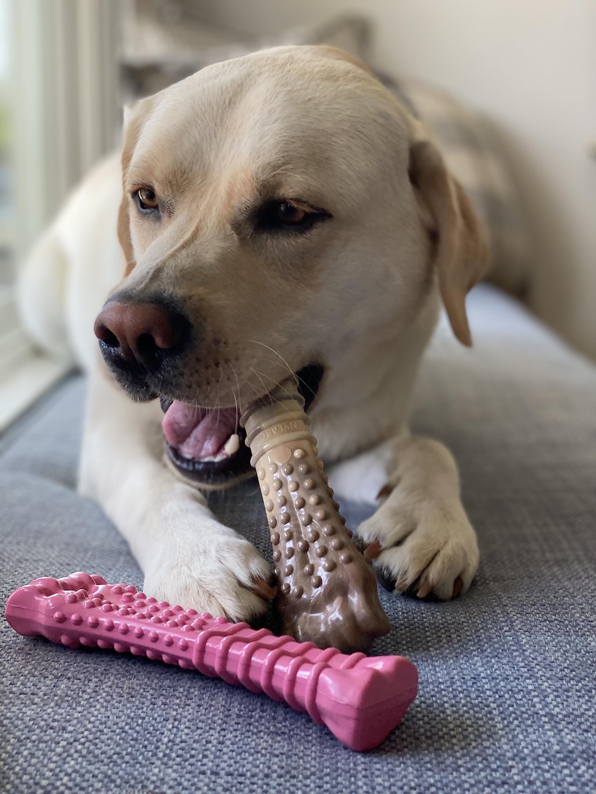 Nylabone Power Chew Breast Cancer Awareness Femur Bone Chew Toy for Dog, Indestructible Dog Toys for Aggressive Chewers, Chicken