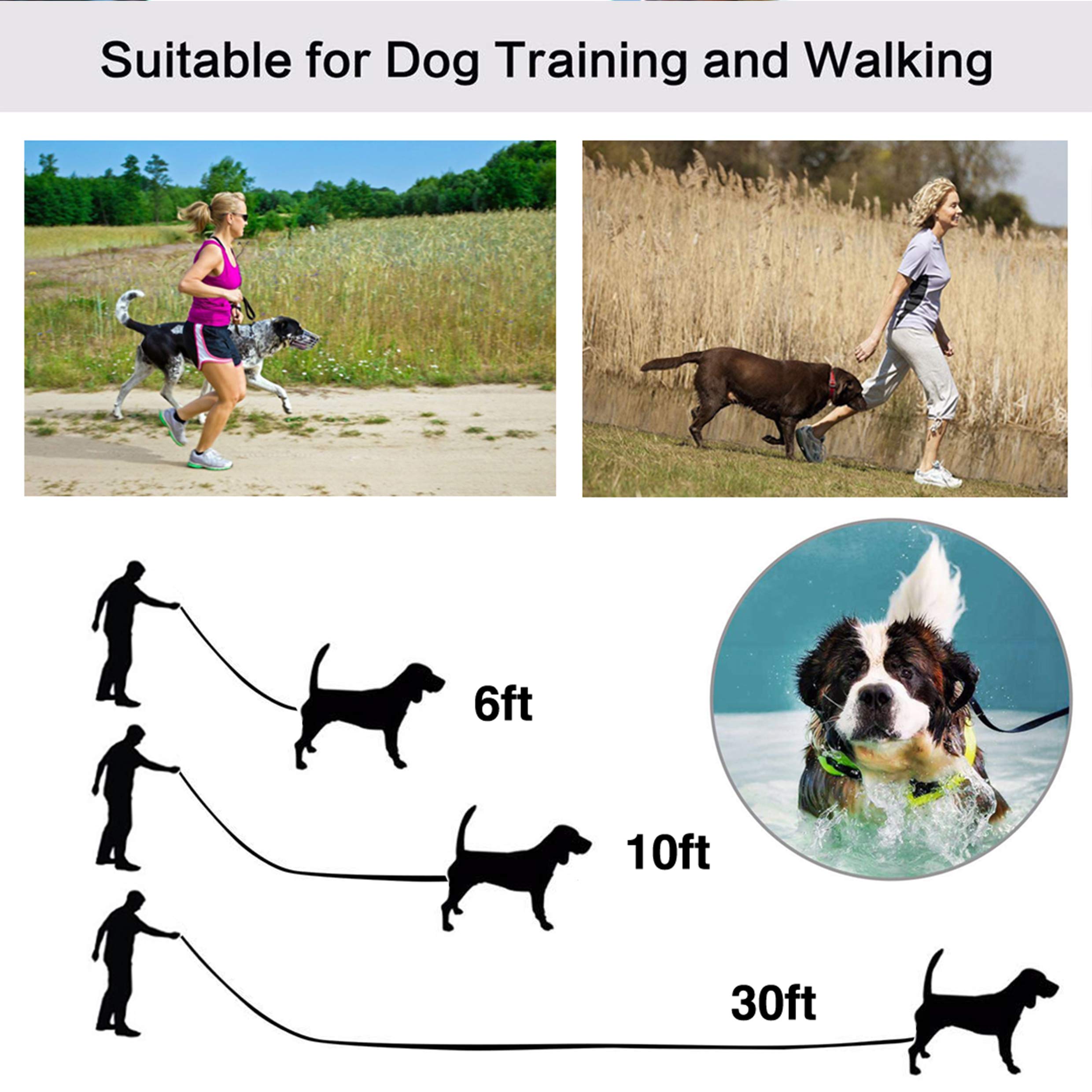 Jeckpat 10Ft Purple Dog Leashes - Obedience Recall Training Agility - Strong Traditional Style Extra Long Leads For Large, Mediu
