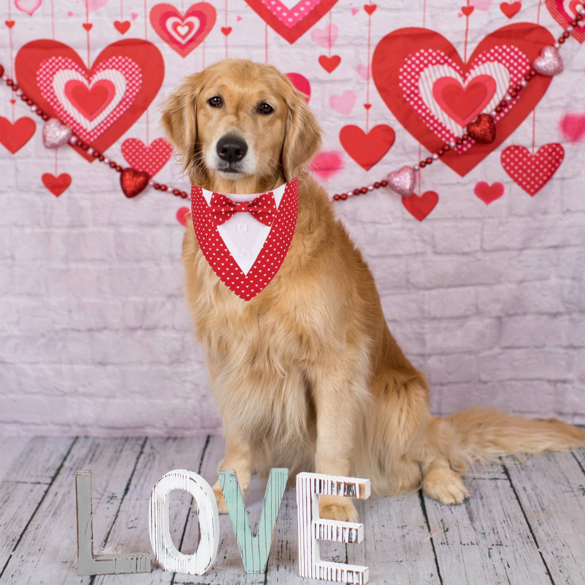 Adoggygo Valentine Dog Tuxedo Bandana, Red Heart Pet Tux With Bowtie Adjustable Valentine Costume For Medium Large Dogs Pets (L)