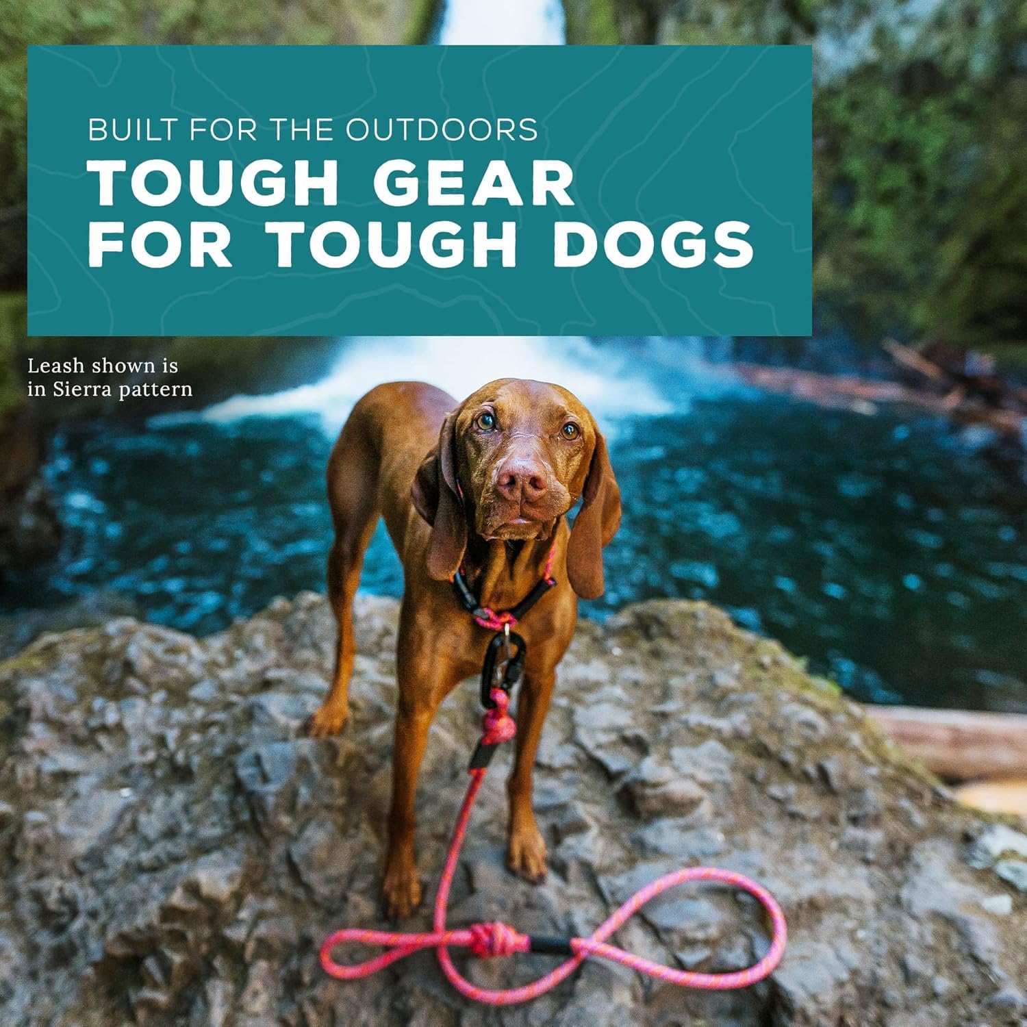 Wilderdog Small Carabiner Climbing Rope Dog Leash For Small & Medium Dogs - 5Ft - Maple - 1Ct