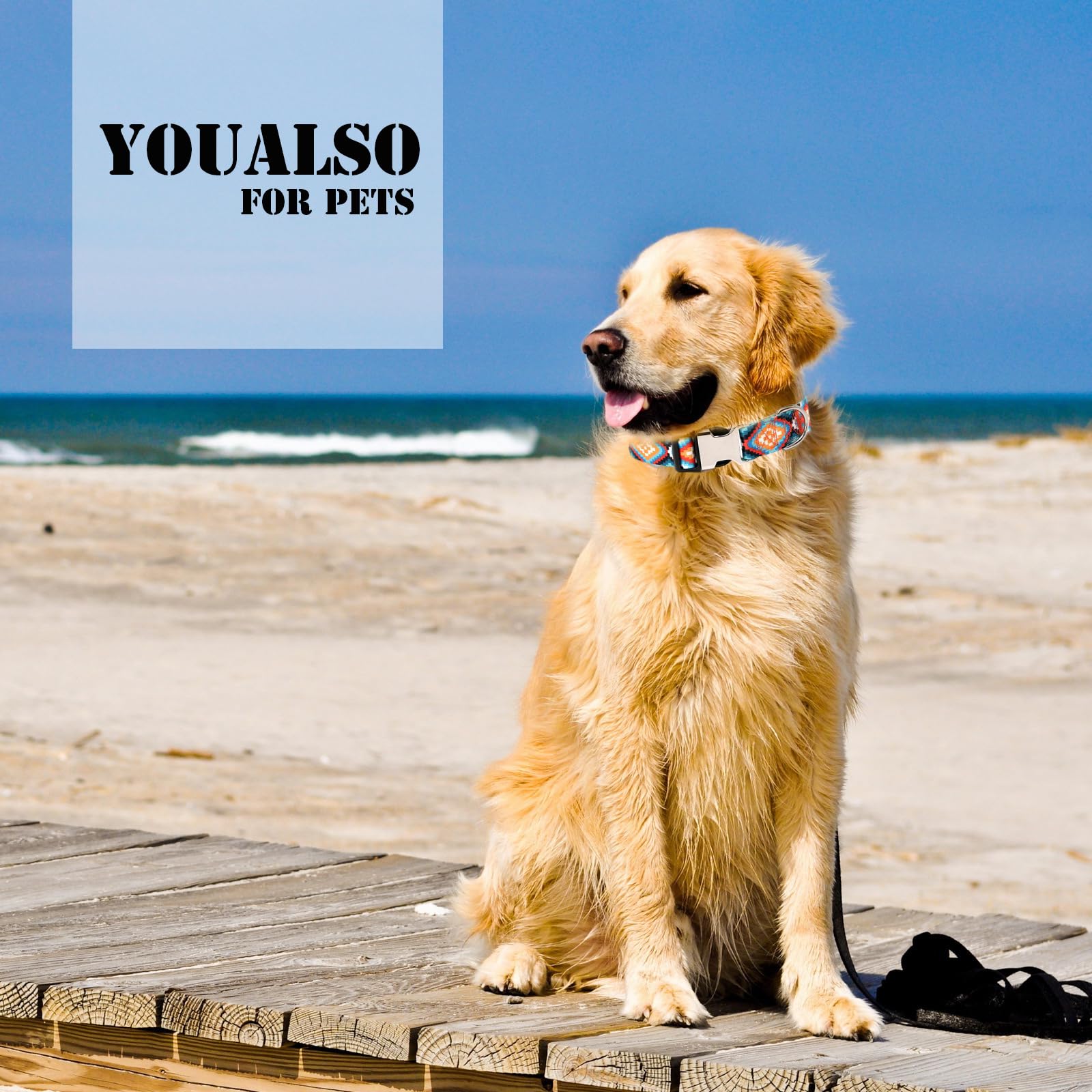 Boy Dog Collars For Small Medium Large Xl Dogs, Western Aztec Tribal Quick Release Buckle Metal Clasp Cool Basic Male Pet Collar