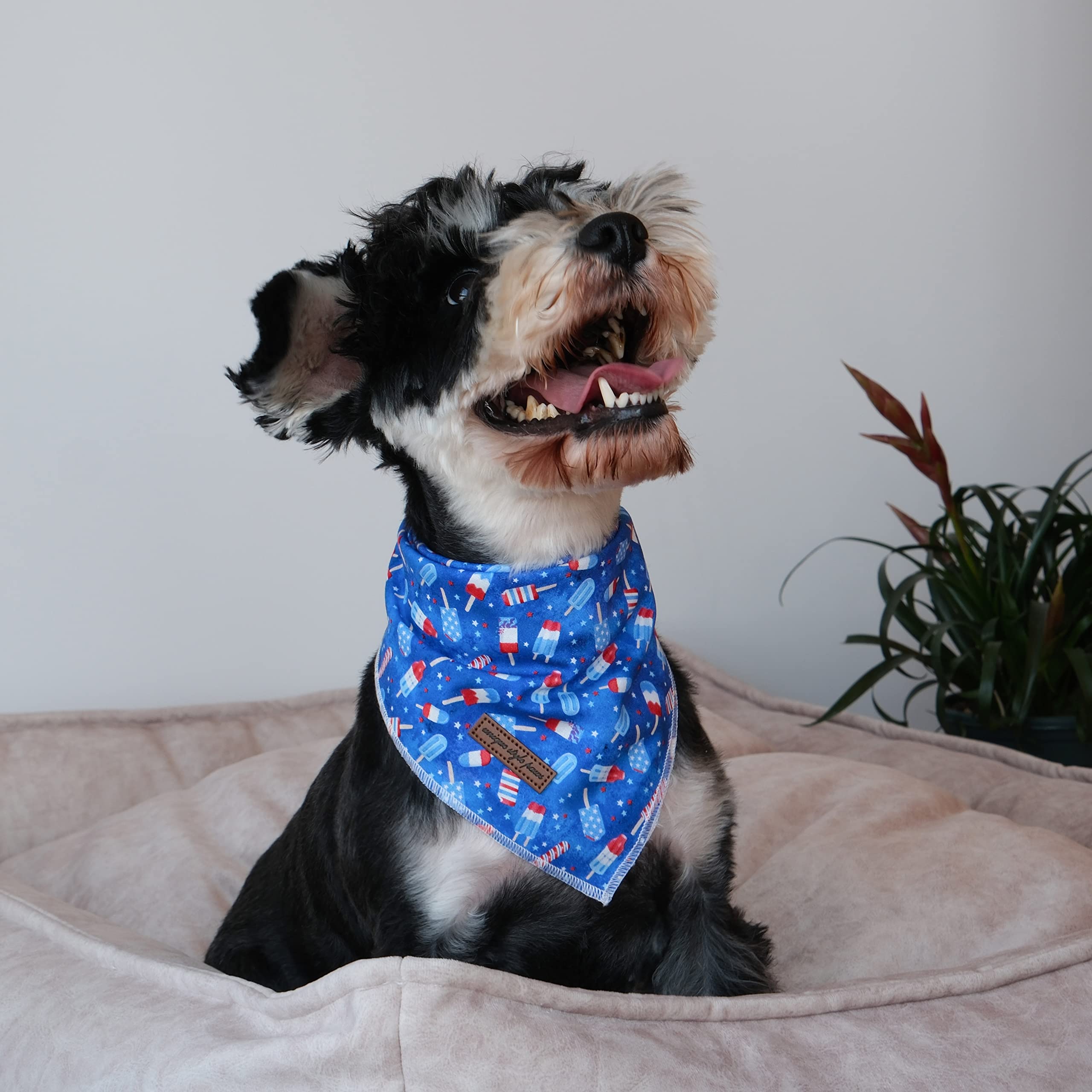 Unique Style Paws Independence Day Flag Dog Bandana, Best For Small Medium Large Boys Girls Dogs