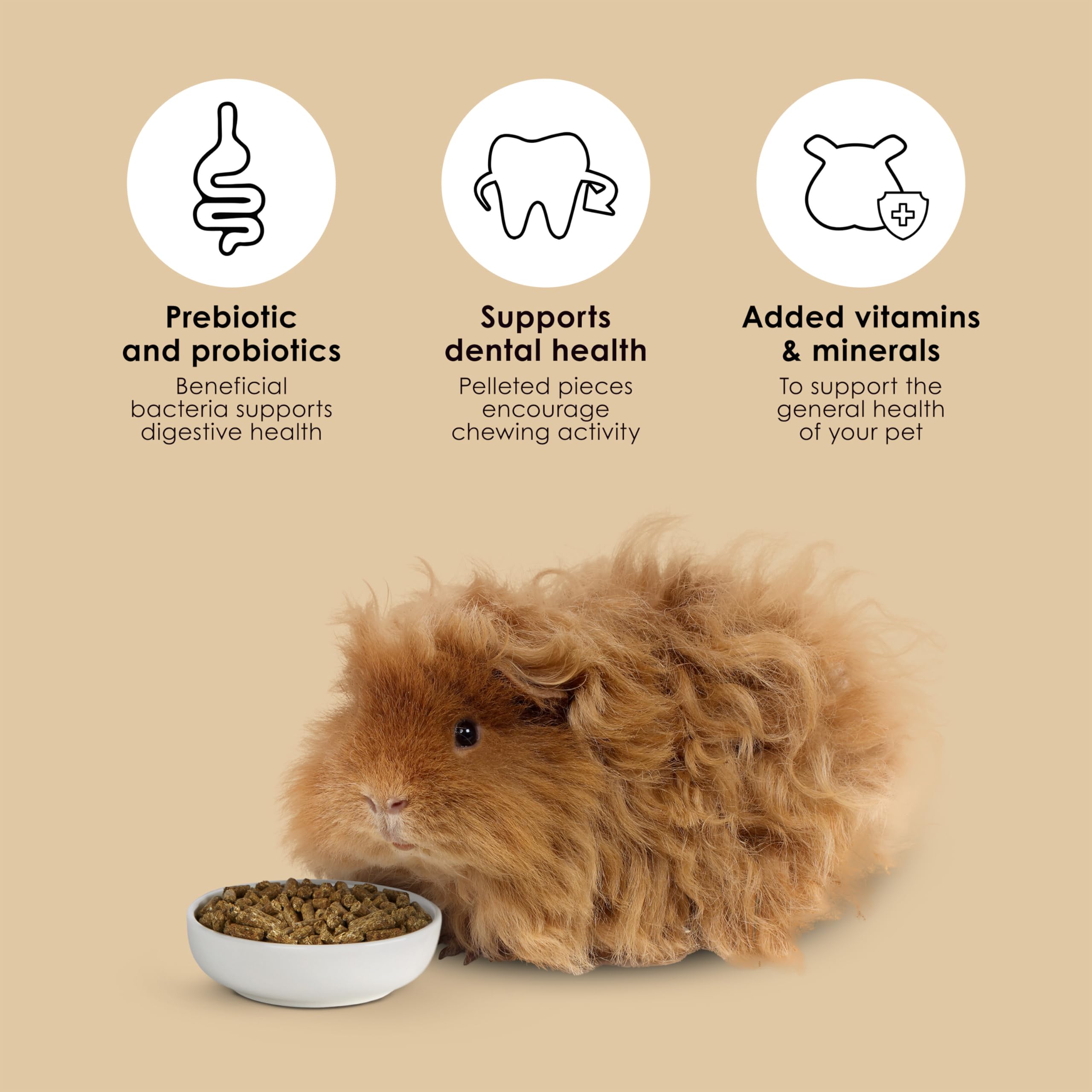 Kaytee Guinea Pig, Timothy Complete, 25lb