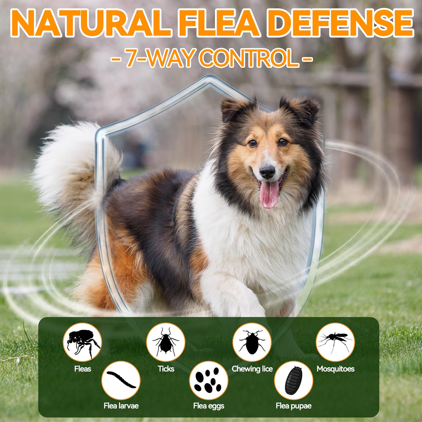Carmelie Flea and Tick Prevention for Dogs - 200 Chews Natural Dog Flea and Tick Support, Oral Flea Supplement for All Dogs, Sup