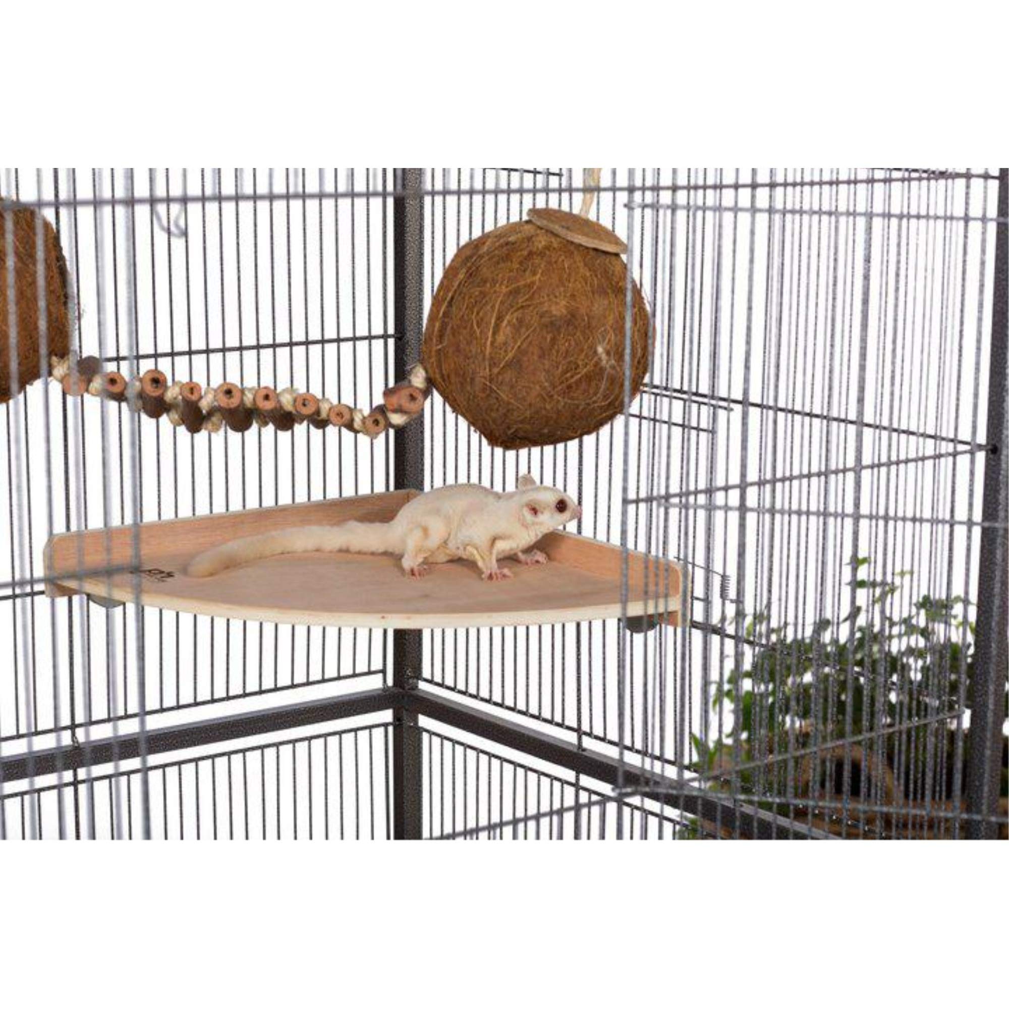Prevue Pet Medium Corner Shelf - 3202