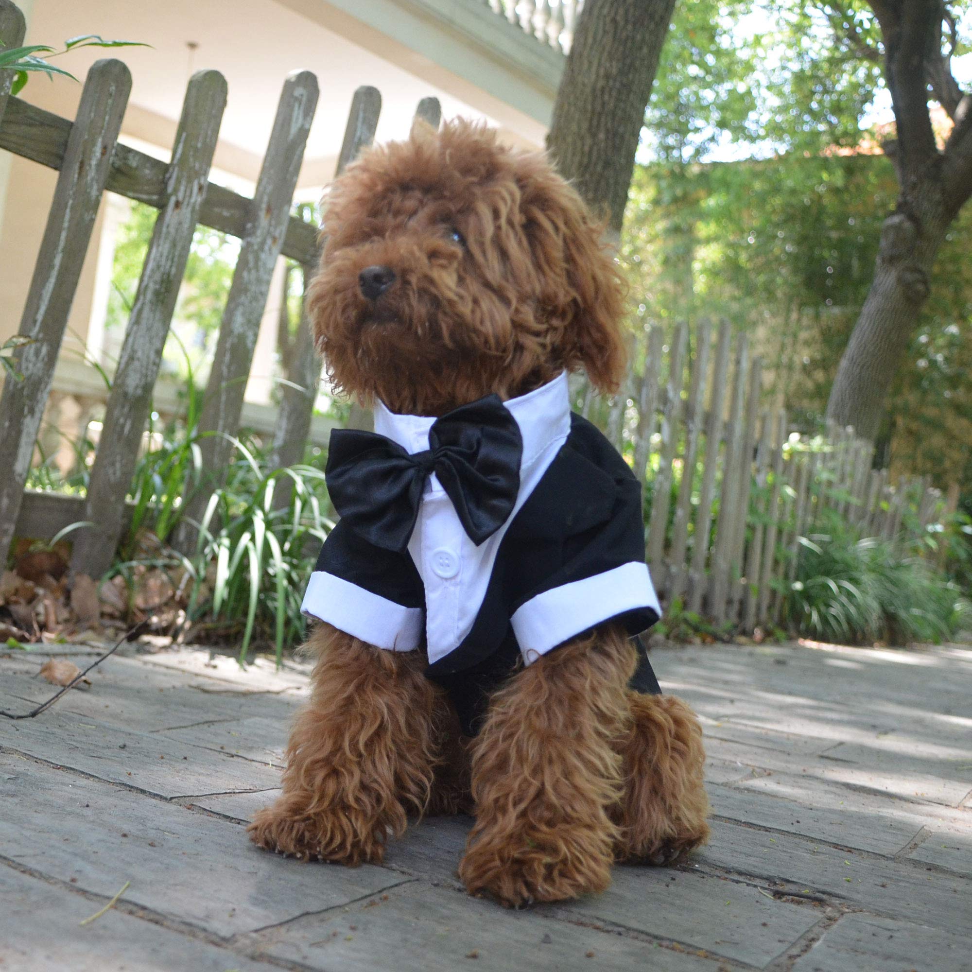 Lovelonglong Pet Costume Dog Suit Formal Tuxedo With Black Bow Tie For Small Dogs Pug Clothing Black Xl