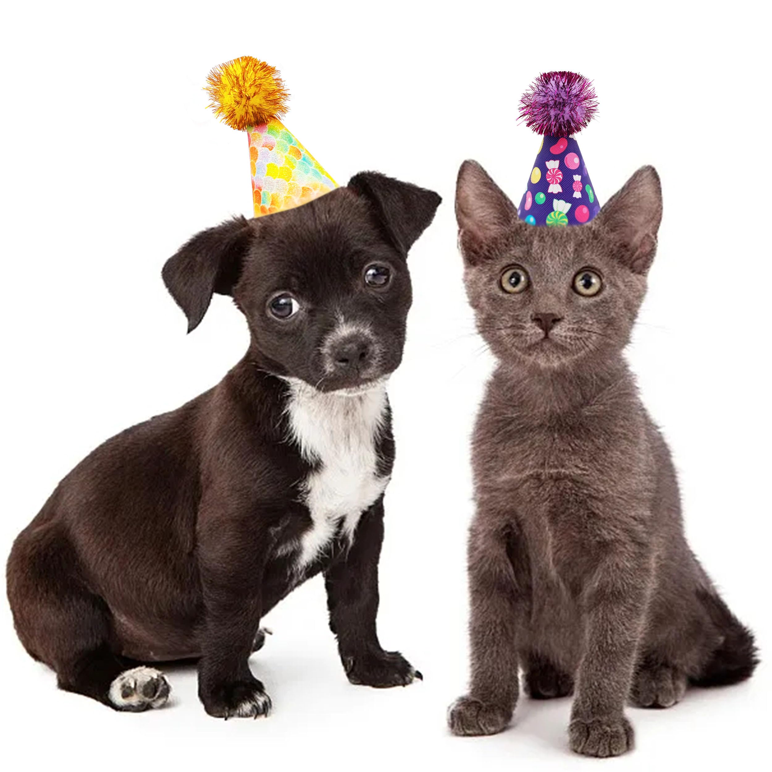 Jpgdn 6Pcs/Pack Mini Dog Party Hats For Small Xs Cat Puppy Doggie Kitten Rabbit Stuffed Animals Birthday Holiday Party Grooming