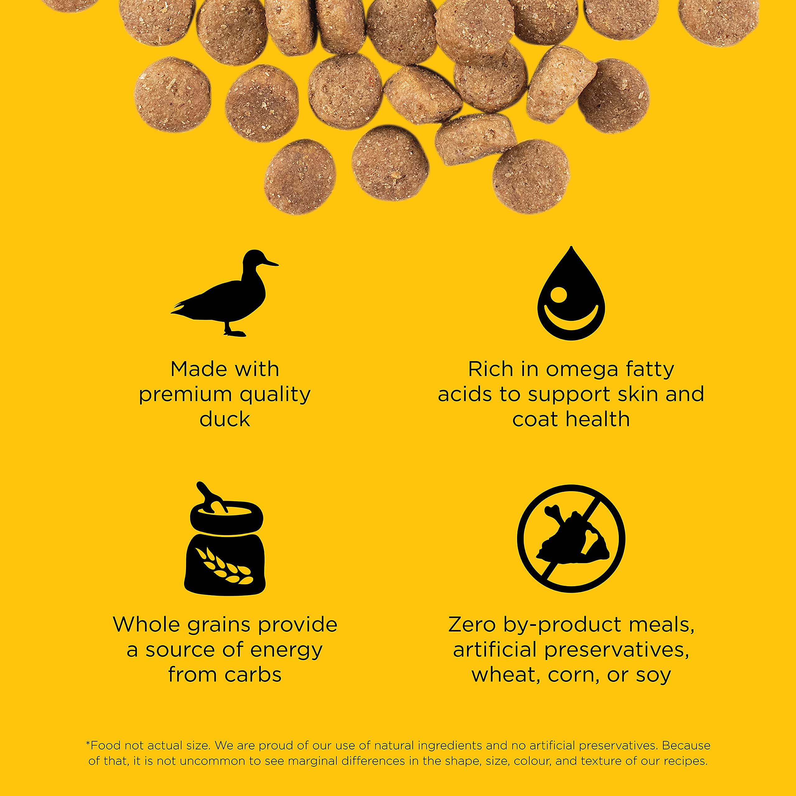 Go! Solutions Skin + Coat Care, Dry Dog Food, Duck Recipe with Grains, 12 lb Bag