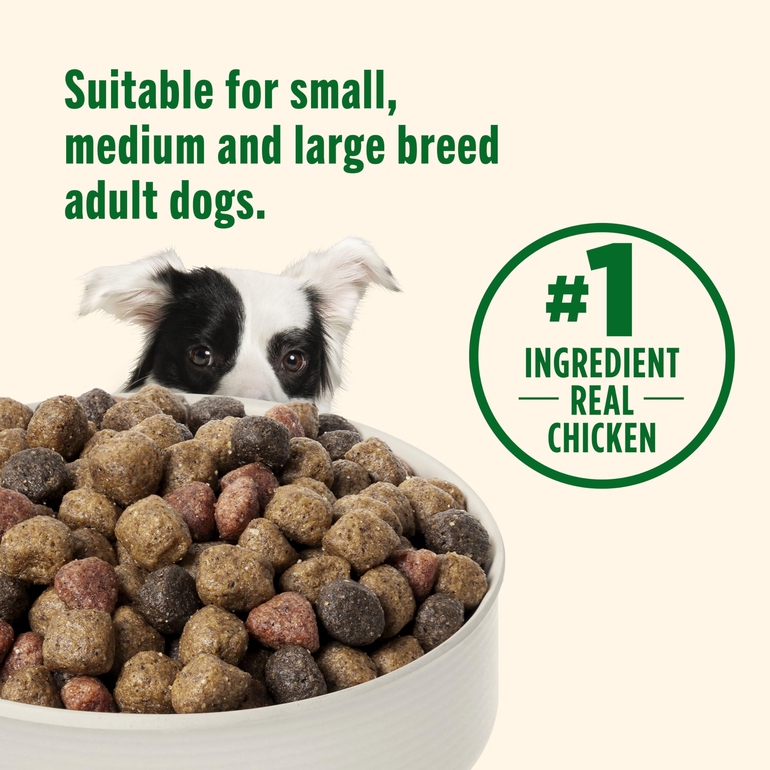 Nutrish Real Chicken & Veggies Recipe Whole Health Blend Dry Dog Food, 40 lb. Bag (Rachael Ray)