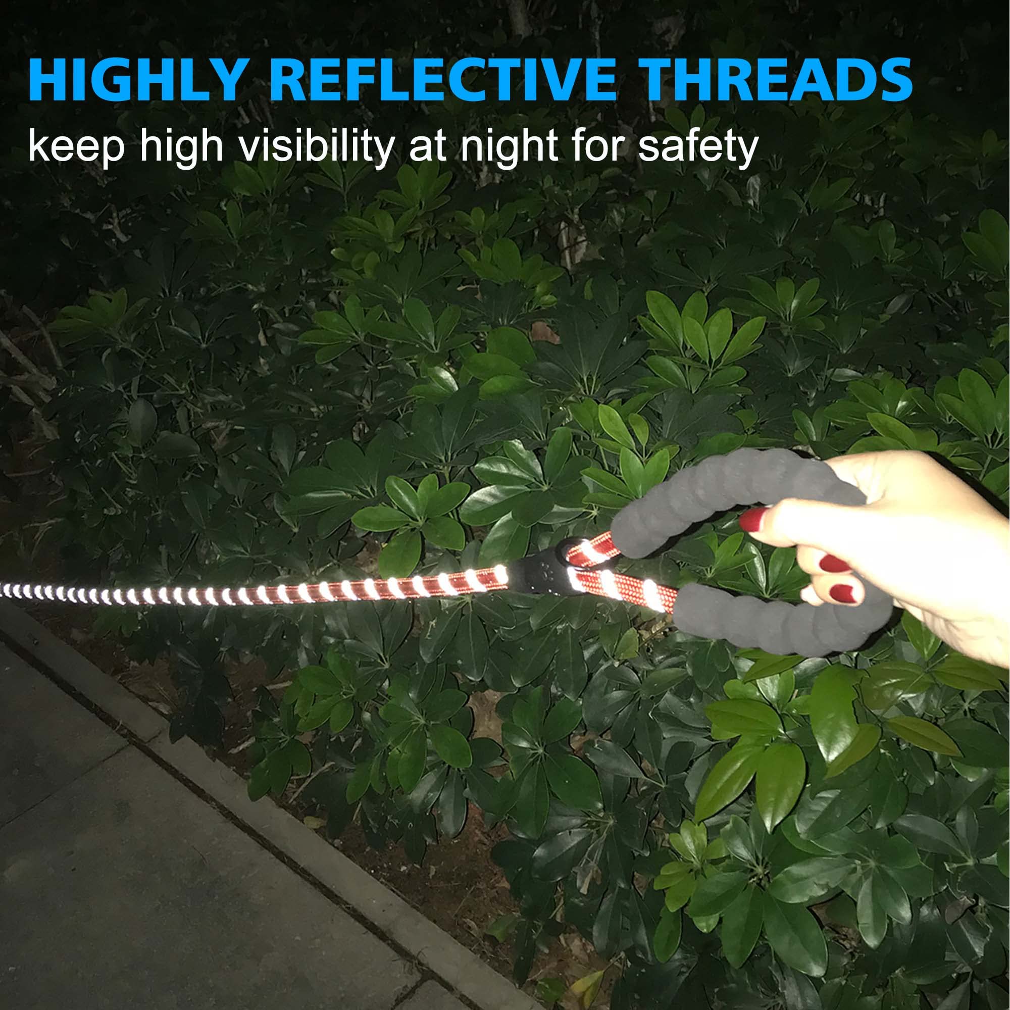 Ladoogo Reflective Dog Collar Padded With Soft Neoprene Breathable Adjustable Nylon Dog Collars For Small Medium Large Dogs (X-Small (Pack Of 1), Red Plaid Collar+Leash)