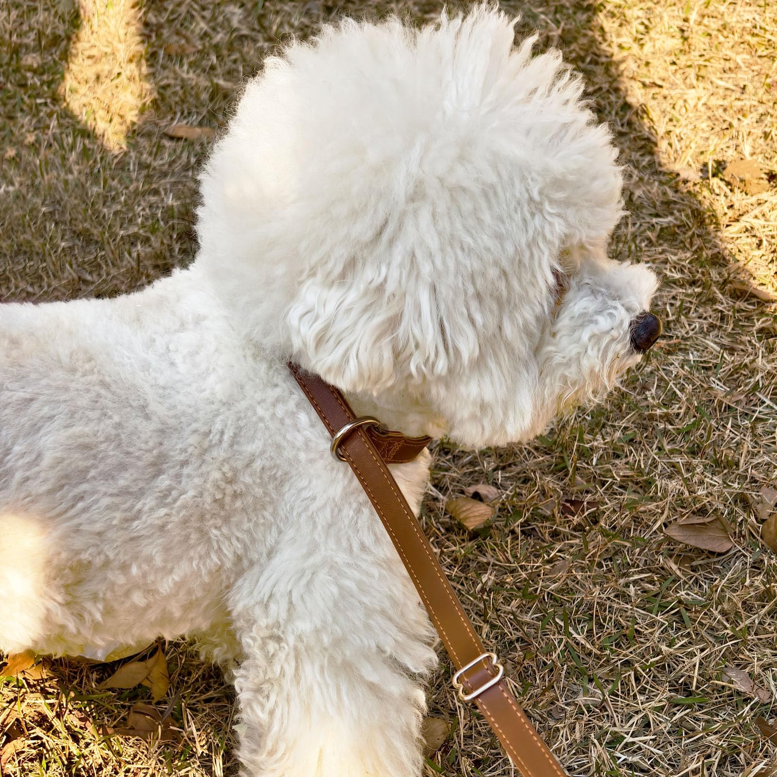 Wyuze Leather Dog Leash Slip Style, 6 Ft 5/8'' Wide Soft Leather Slip Lead And Collar, No-Pull Training Leash For Small Medium D