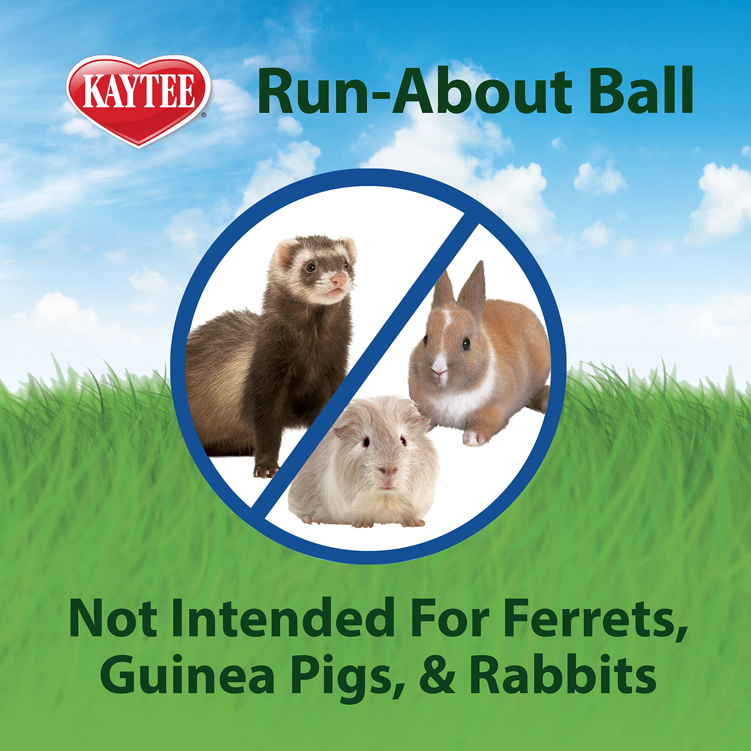 Kaytee 7' Clear Run-About Exercise Ball For Pet Hamsters & Gerbils