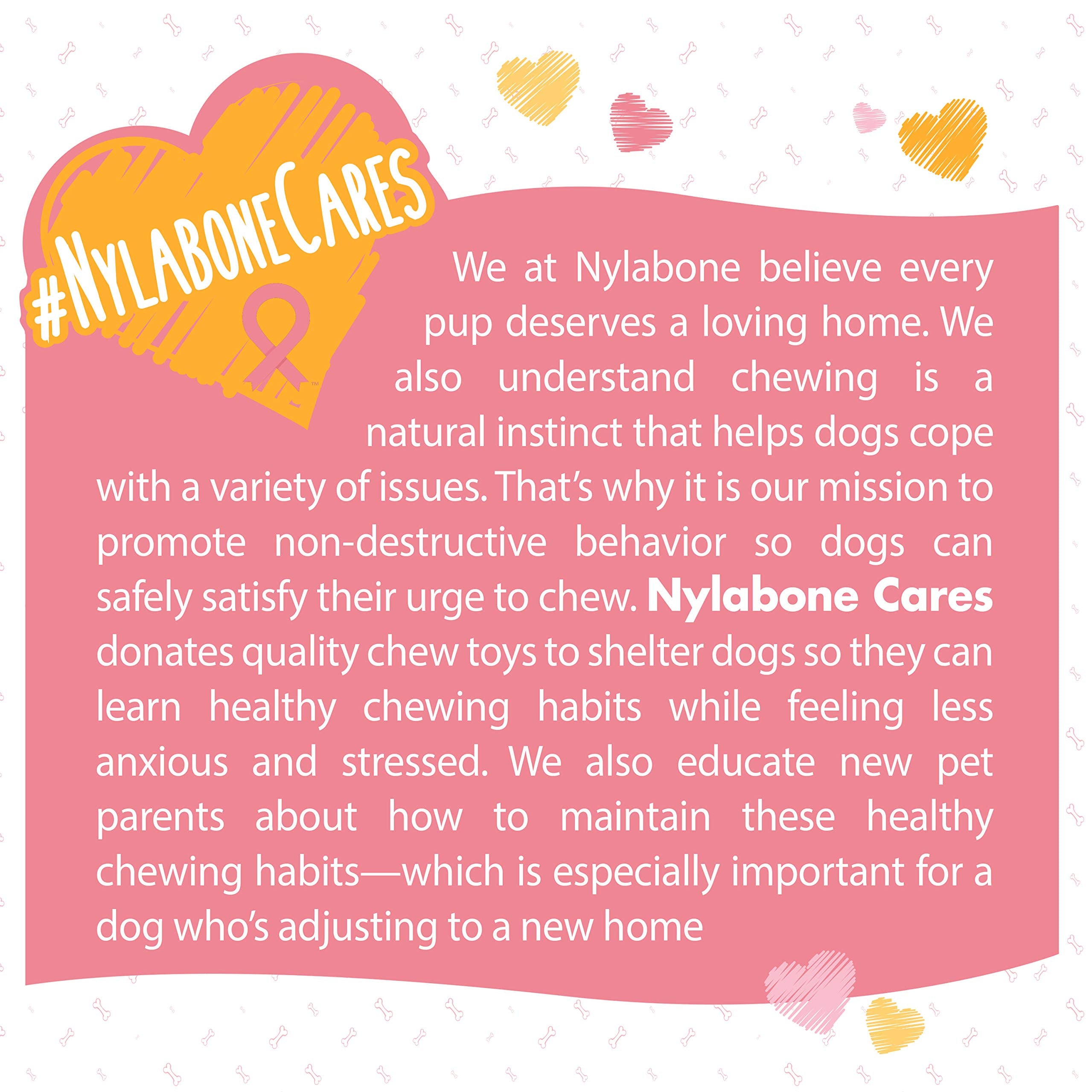 Nylabone Power Chew Breast Cancer Awareness Femur Bone Chew Toy for Dogs, Indestructible Dog Toys for Aggressive Chewers, Chicke