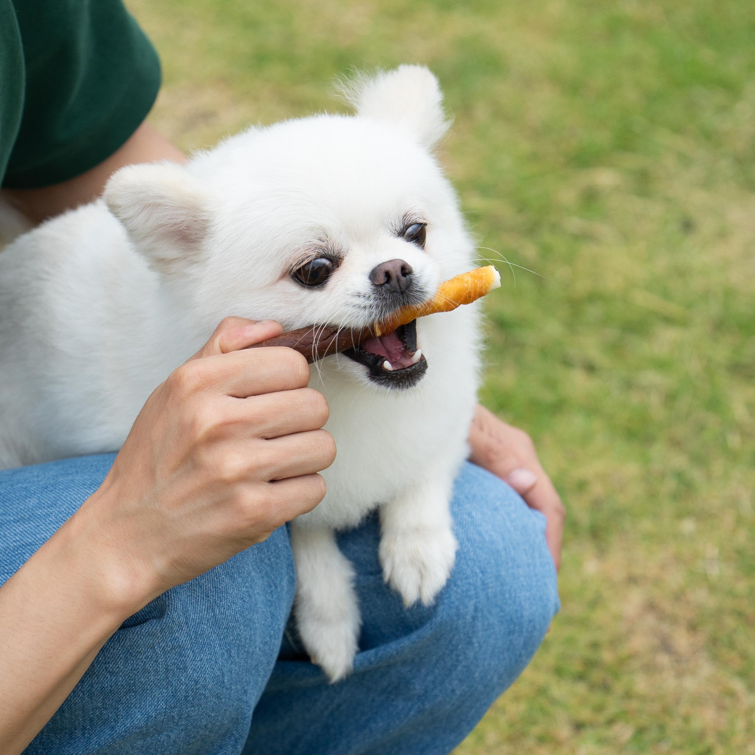 MON2SUN Dog Treats 5 Inch Double Flavor Chicken & Chicken Liver Wrapped Rawhide Sticks, Teeth Cleaning for Small Dogs, 21.16 oz