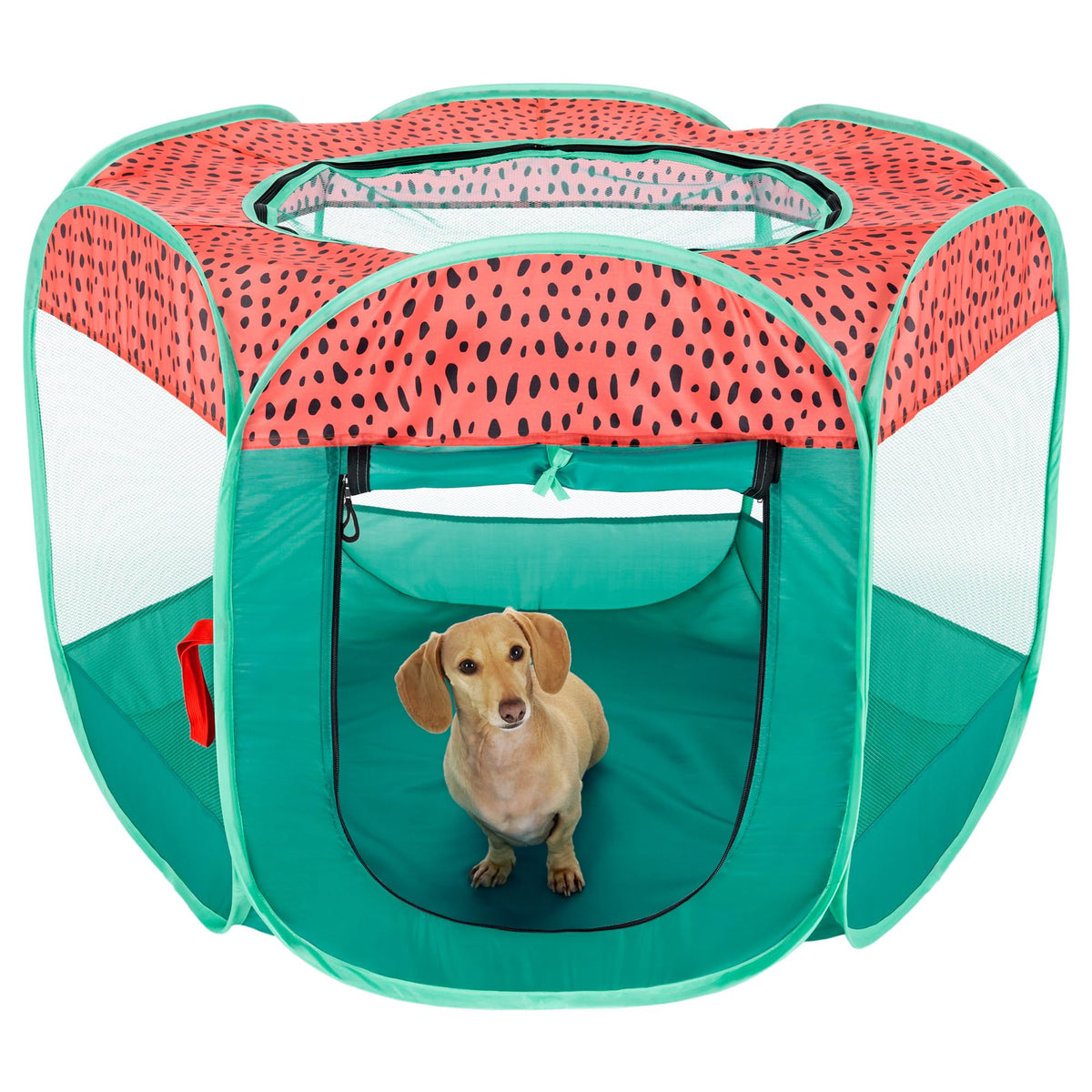 Furhaven Portable Dog Playpen Cat Tent, Pet Playground/Kennel Foldable Indoor Outdoor Zippered Puppy Crate - Green & Pink, Mediu
