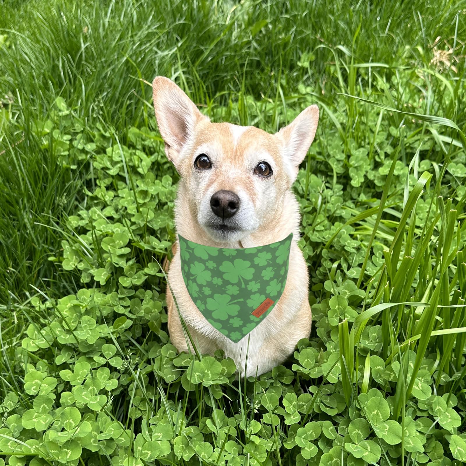 Ptdecor St. Patrick'S Day Dog Bandana, Reversible Dog Scarf, Multi Size Offered, Green Shamrock Pet Bandanas For Medium Large Do