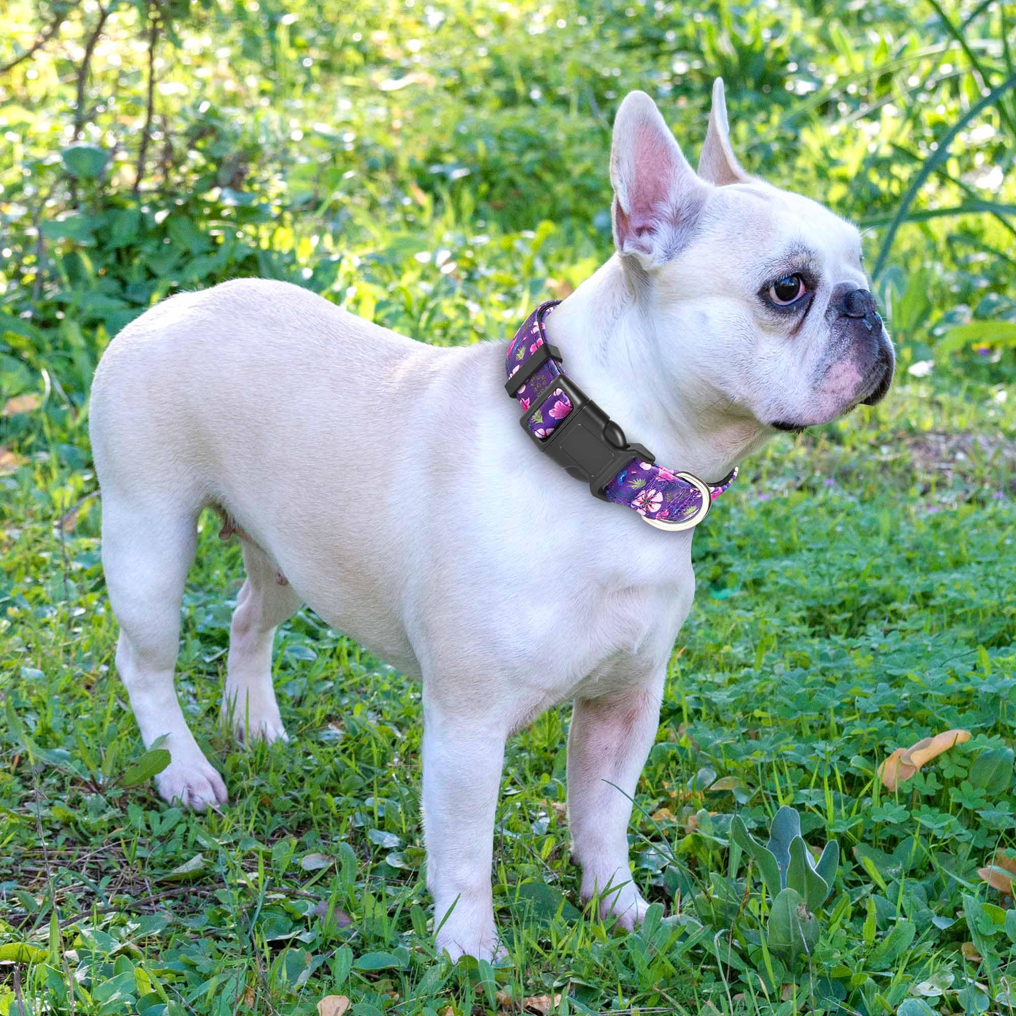 Ladoogo Reflective Dog Collar Padded With Soft Neoprene Breathable Adjustable Nylon Dog Collars For Small Medium Large Dogs (X-Small (Pack Of 1), Purple/Pink Floral Collar+Leash)
