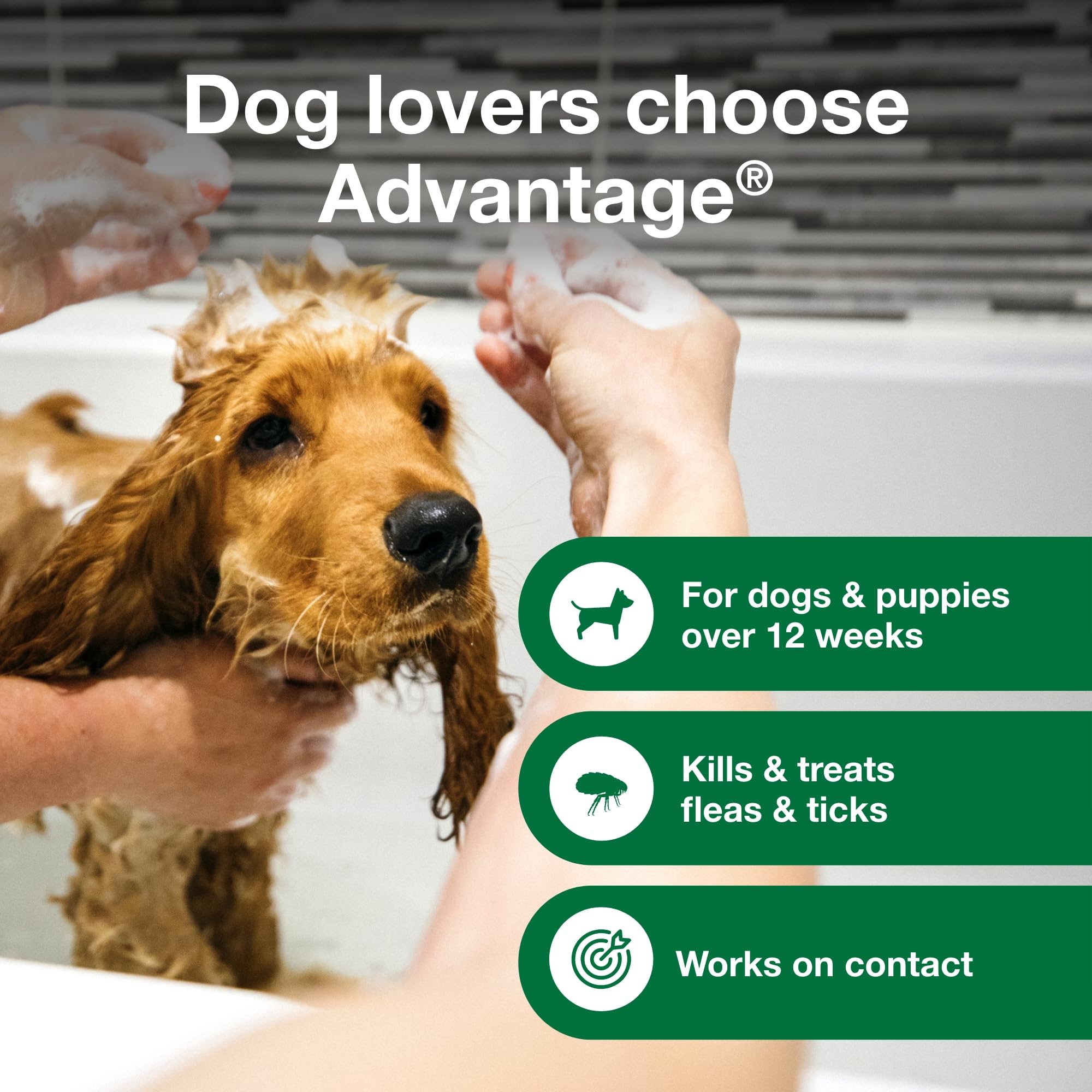 Advantage Dog Flea & Tick Shampoo for Puppies & Adult Dogs | Kills Fleas & Ticks | 24 oz.