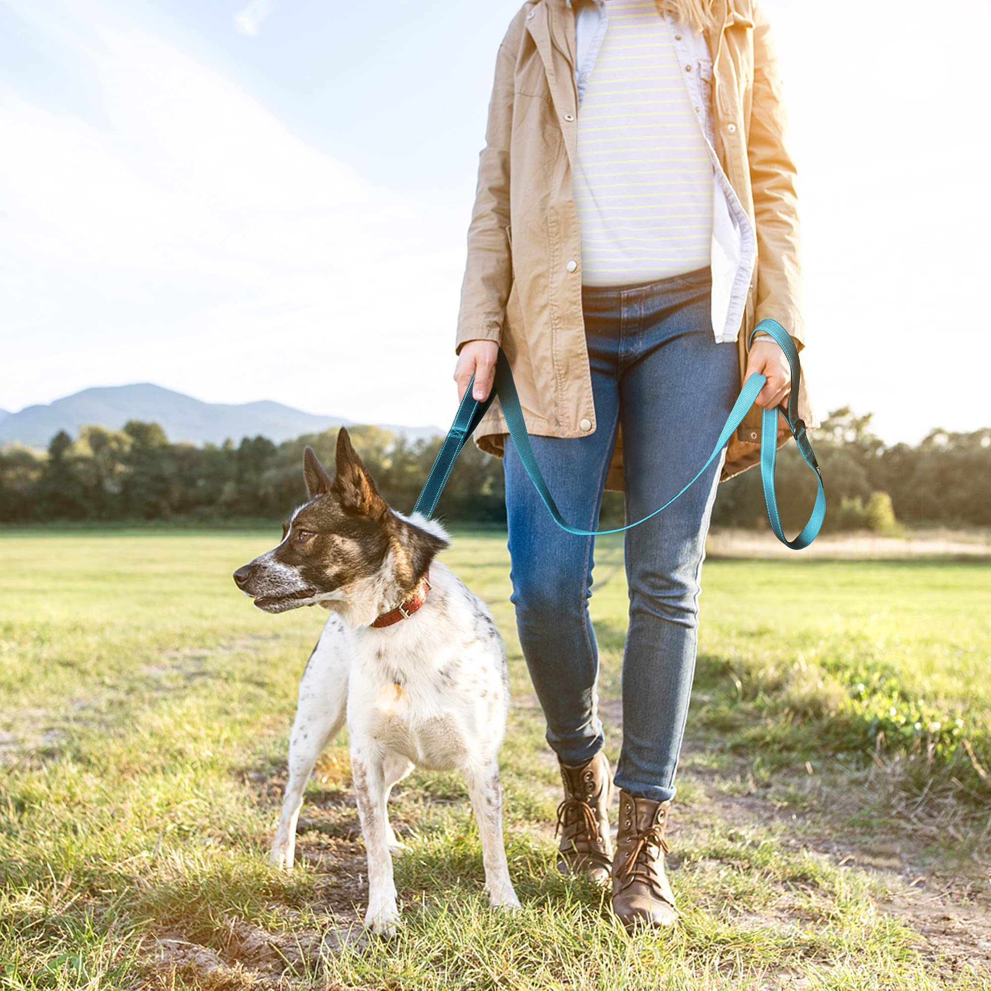 TwoEar Blue Dog Leash - 6FT, 1IN, Dual Padded Handles, Traffic Control, Soft Material, Reflective for Small to Large Dogs
