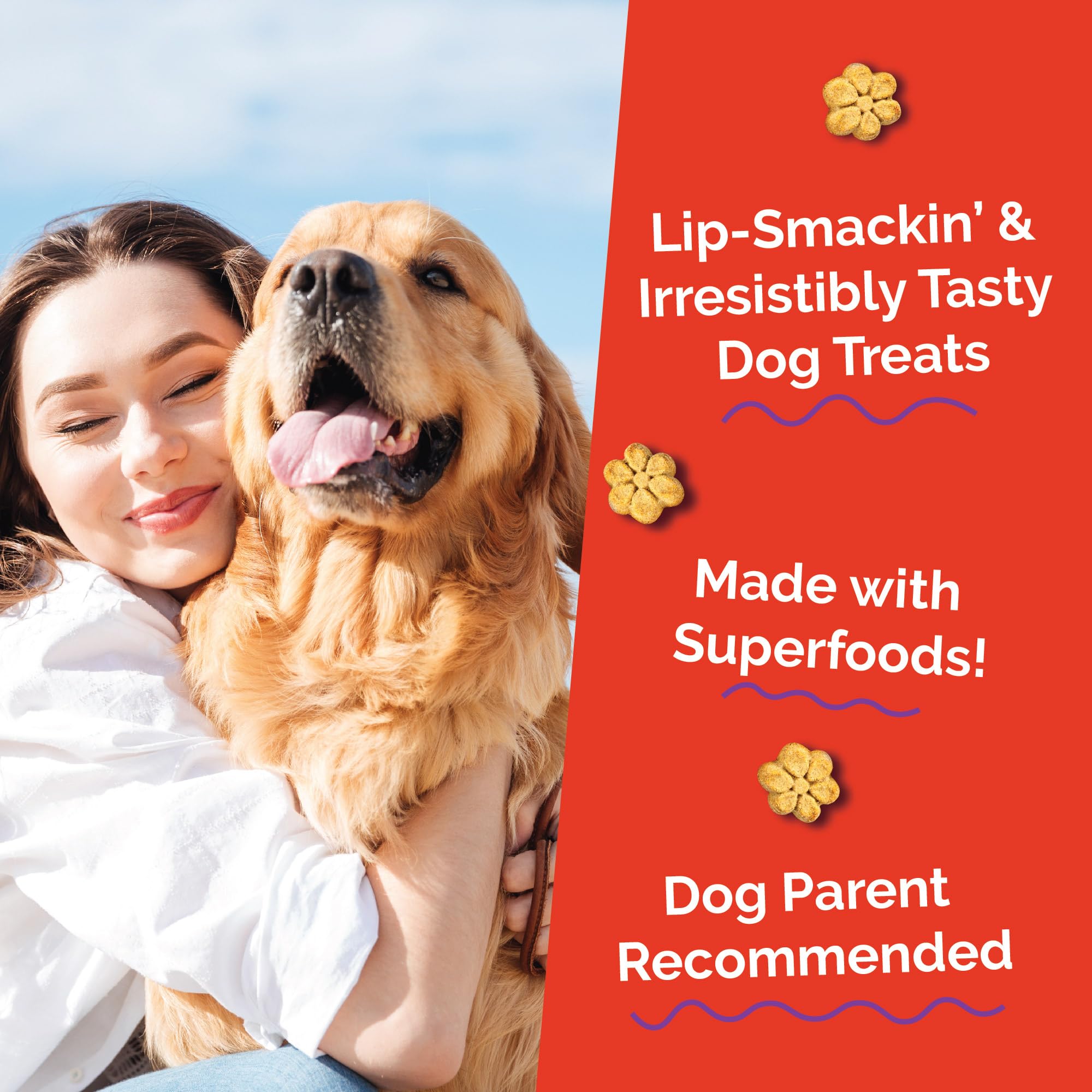 Fruitables Baked Dog Treats, Healthy Pumpkin Treat for Dogs, Low Calorie & Delicious, Free of Wheat, Corn and Soy, Made in The U