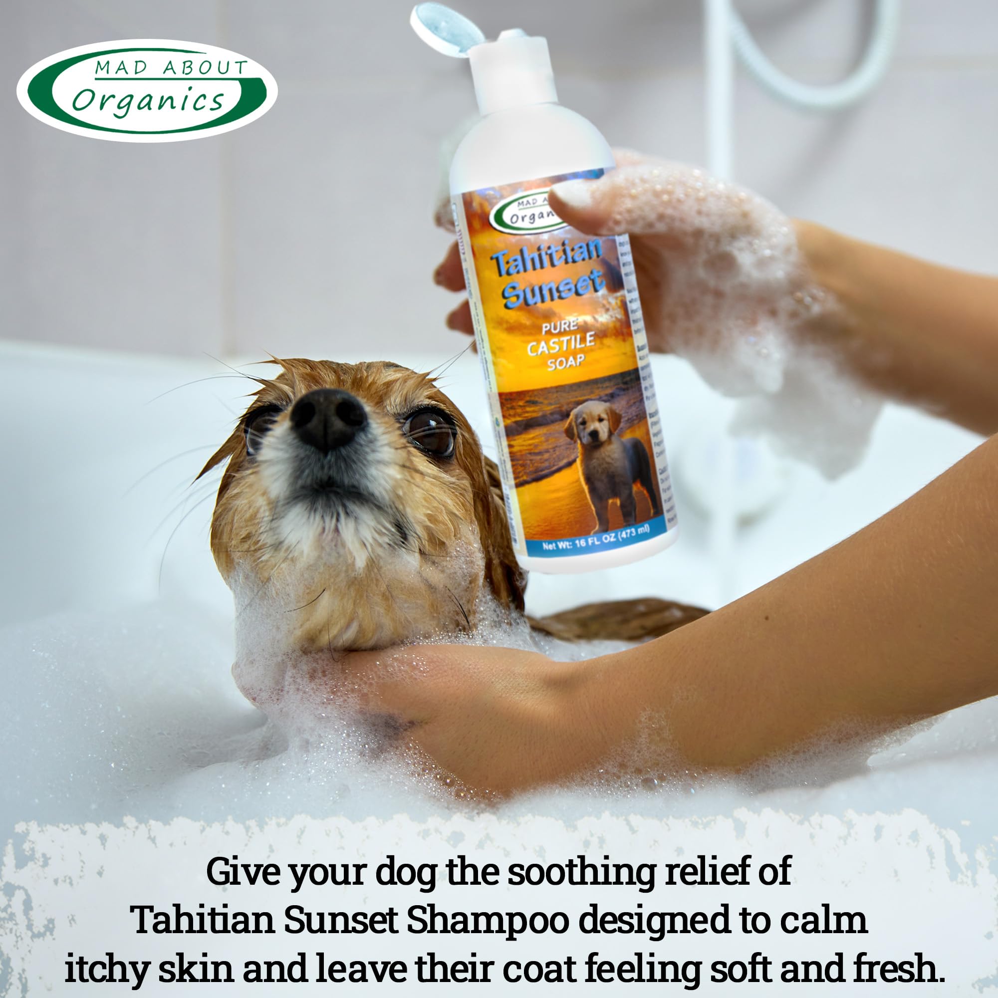 Mad About Organics Tahitian Sunset Dog Shampoo - Gentle Castile Soap, Essential Oils, 16 oz, For All Coat Types, Mild Scent