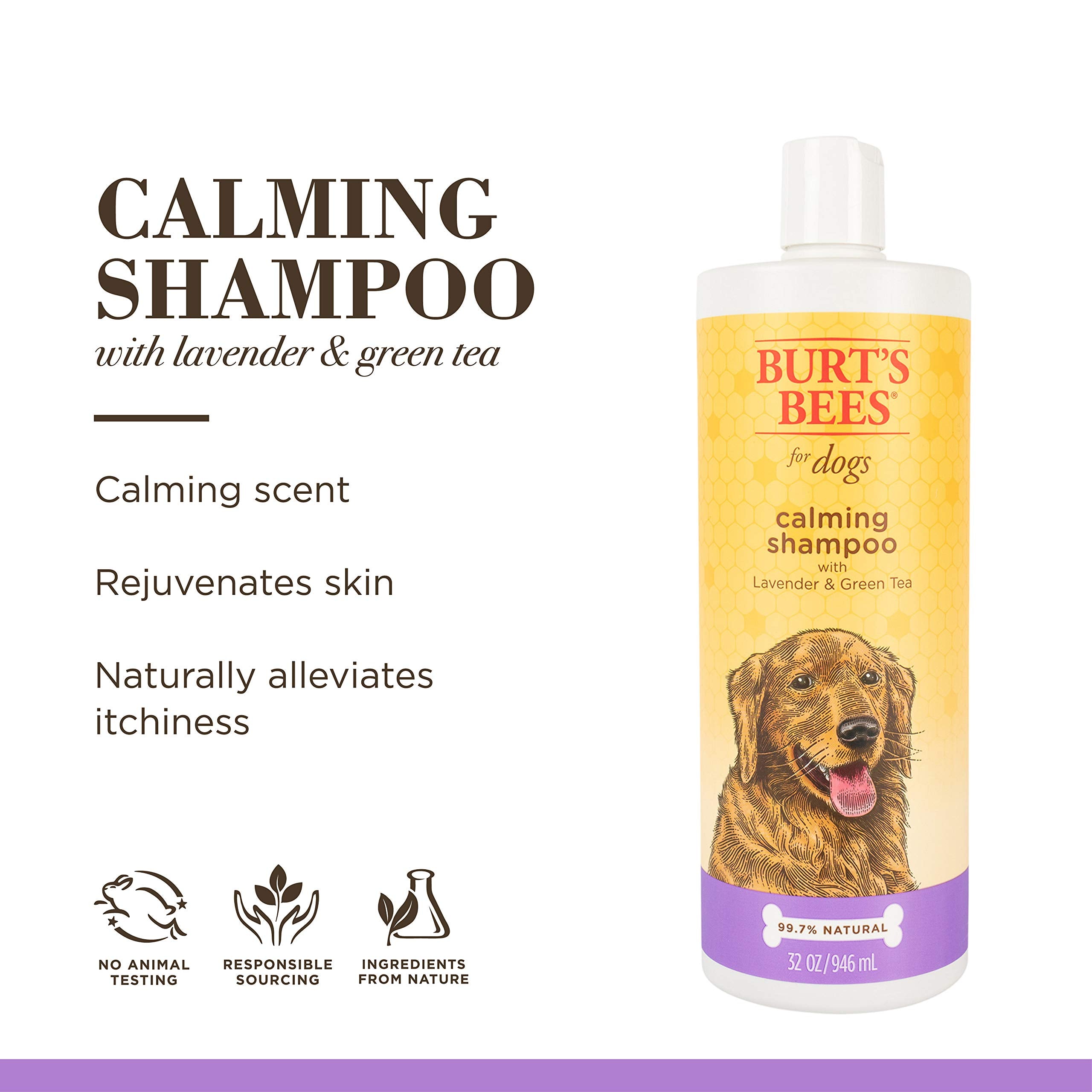 Burt'S Bees For Pets Natural Calming Dog Shampoo | Soothes, Calms & Revitalizes Dog'S Coats | Dog Shampoos Made With Lavender And Green Tea | Ph Balanced For Puppies - Made In Usa, 32 Oz
