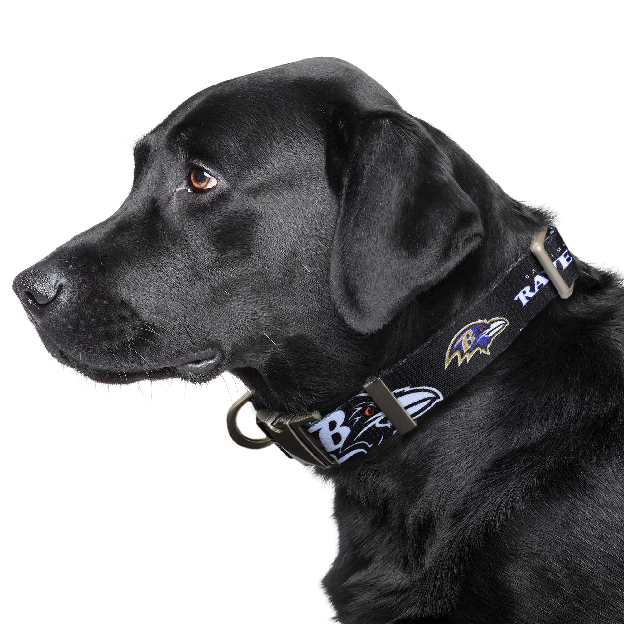 Littlearth Baltimore Ravens Nfl Premium Pet Collar