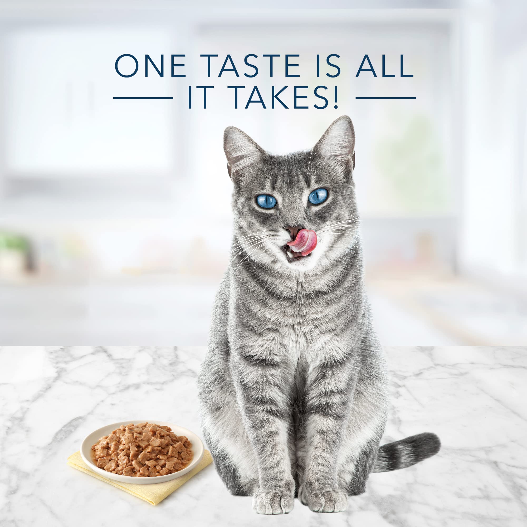 Blue Buffalo Tastefuls Natural Flaked Wet Cat Food, Chicken Entr  e in Gravy 3-oz cans (Pack of 24)