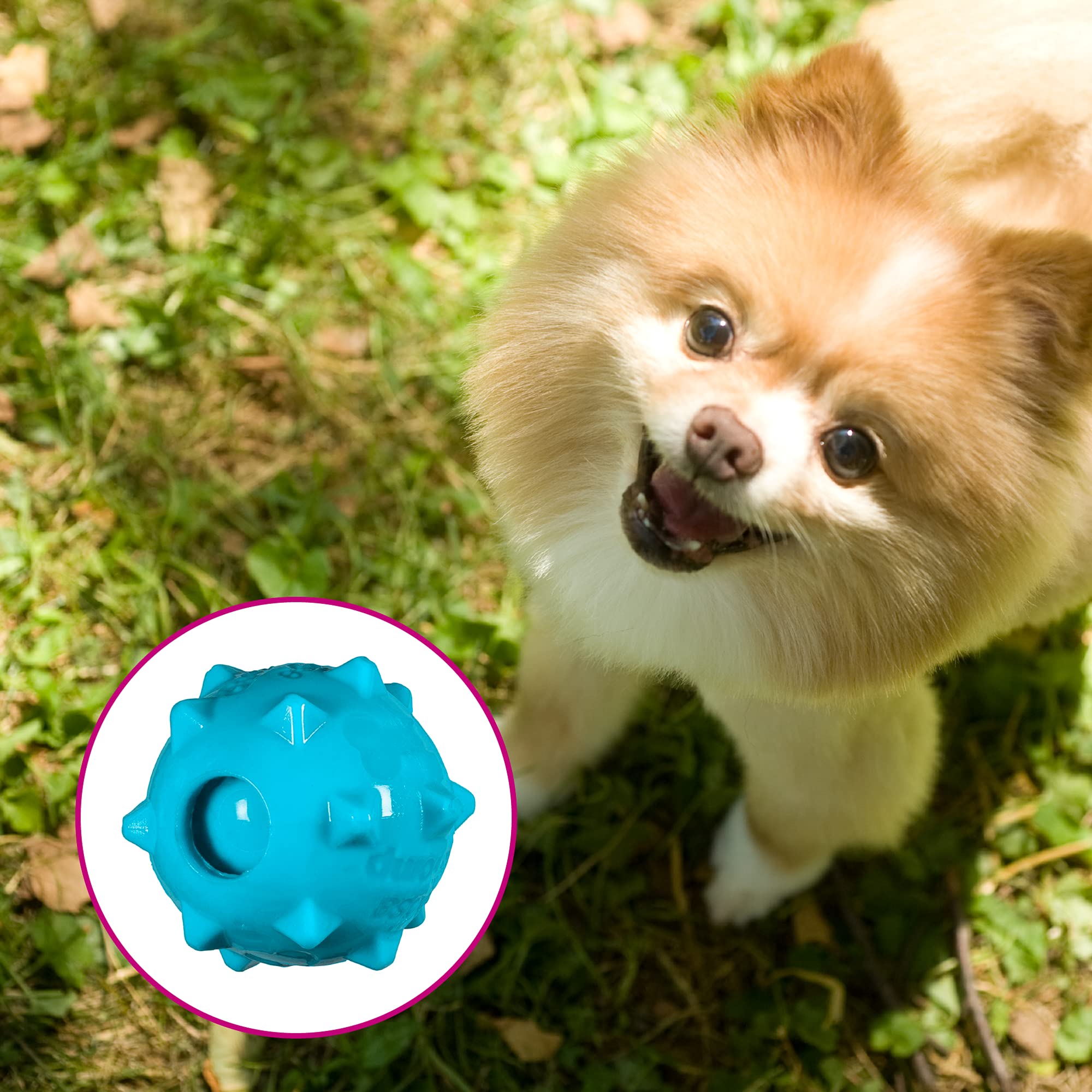 Chase 'N Chomp Dog Amazing Squeaker Ball Toy For Pets, Knobble, 2.5 Inch,Small Breeds