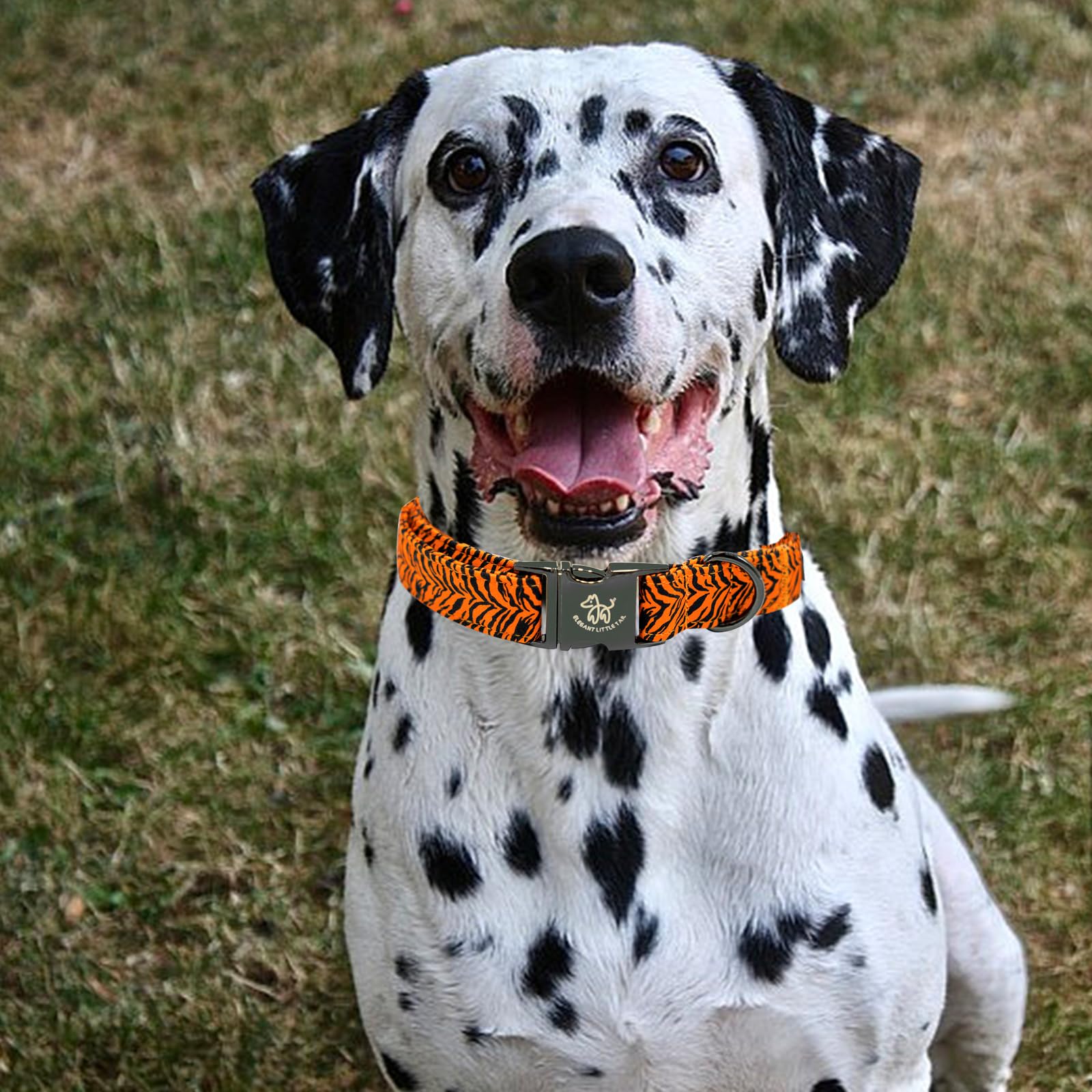 Elegant Tiger Print Cotton Dog Collar - Durable Metal Buckle Collar For Small Dogs