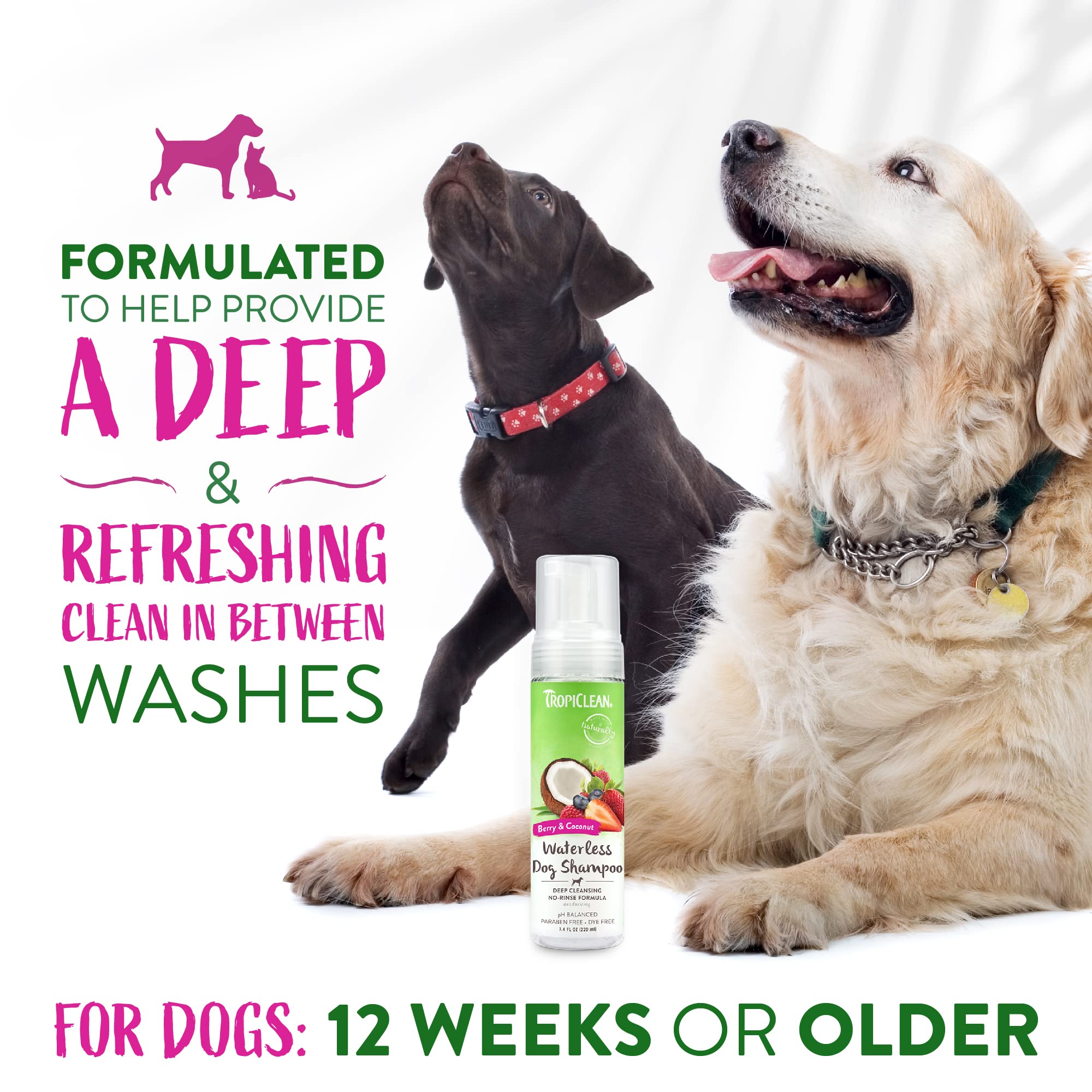 Tropiclean No Rinse Waterless Dog Shampoo | Detangling And Deodorizing Dry Shampoo For Smelly Pets | Moisturizes Dry Skin | Usa