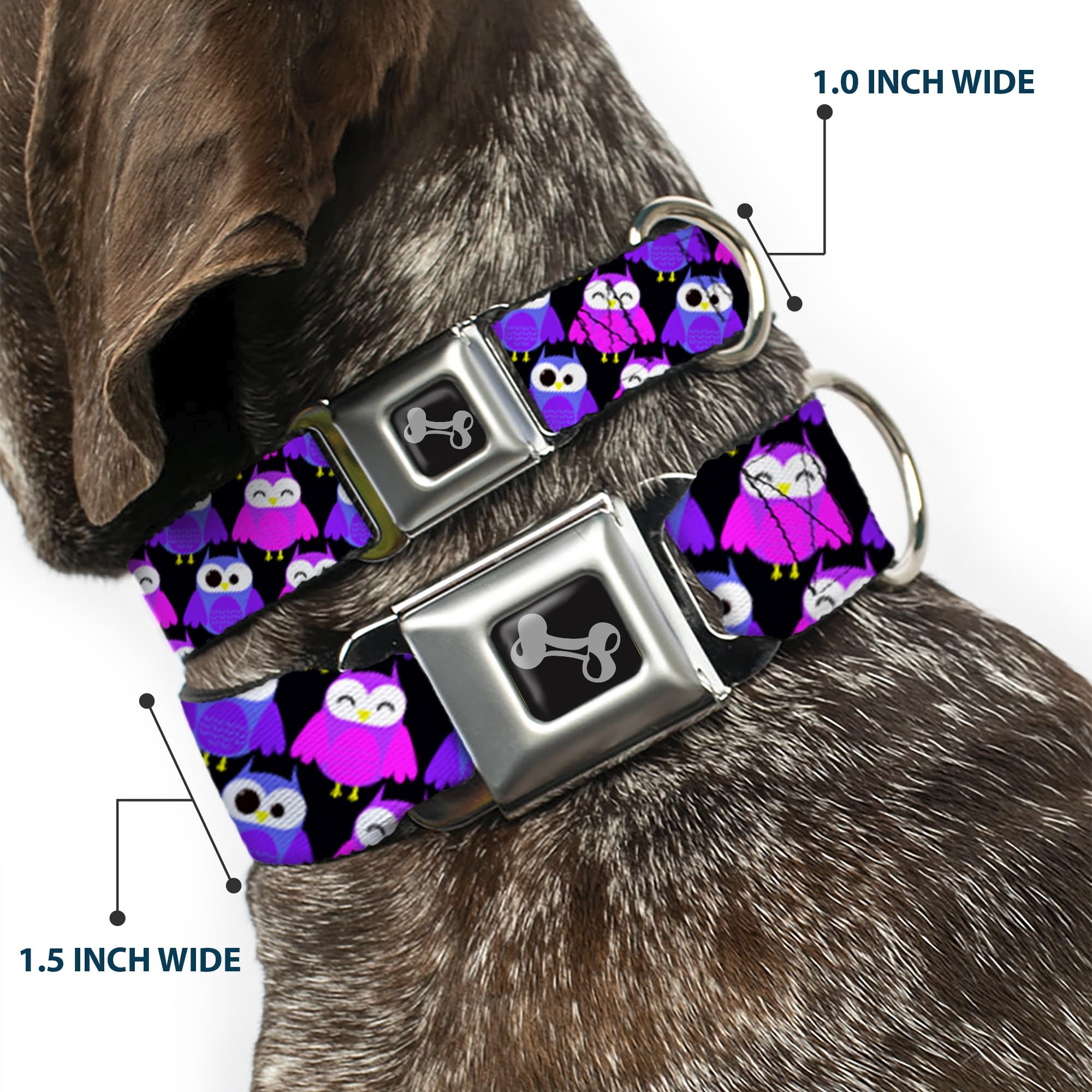 Dog Collar Seatbelt Buckle Owl Eyes Black Purples Pinks 13 to 18 Inches 1.5 Inch Wide