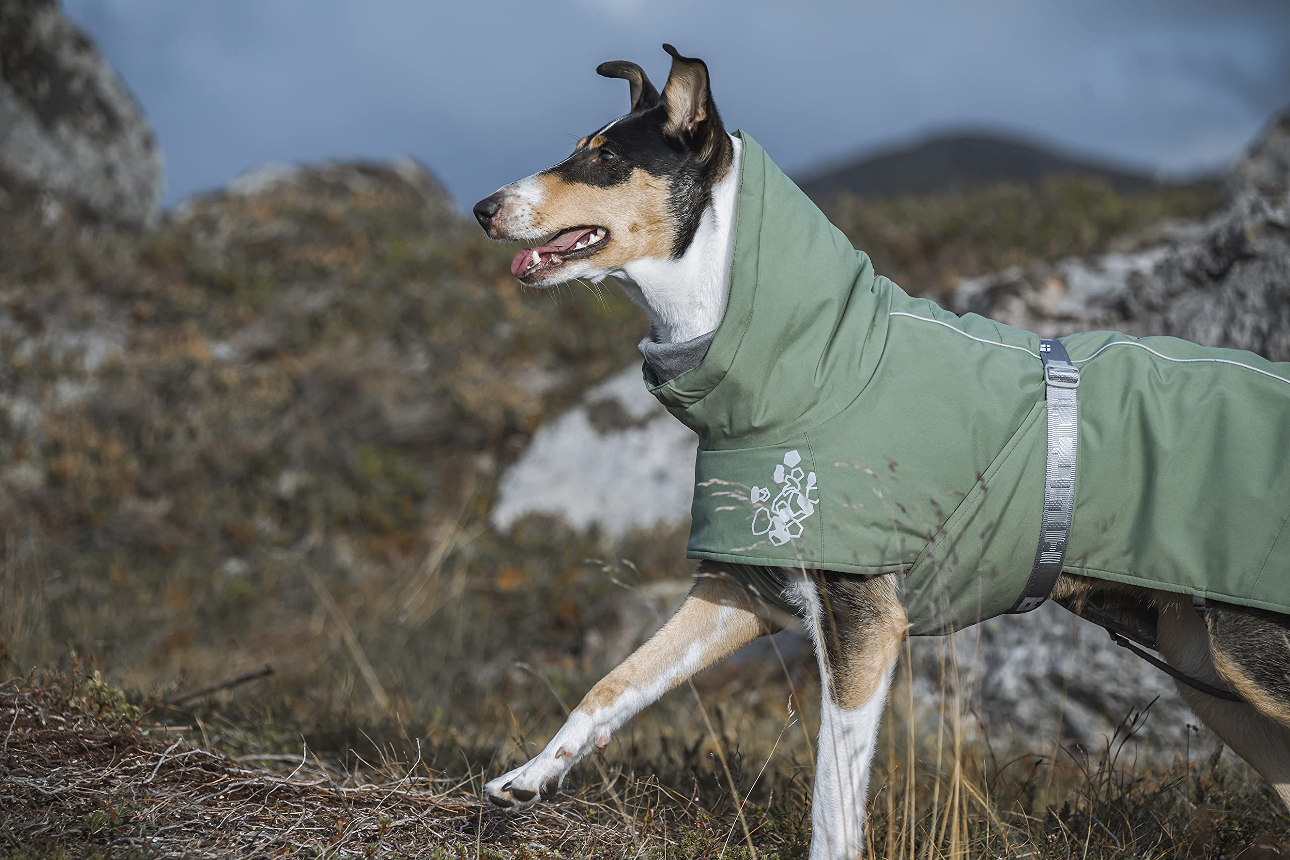 Hurtta Extreme Warmer 2, Winter Dog Coat Eco, Hedge, 26 In