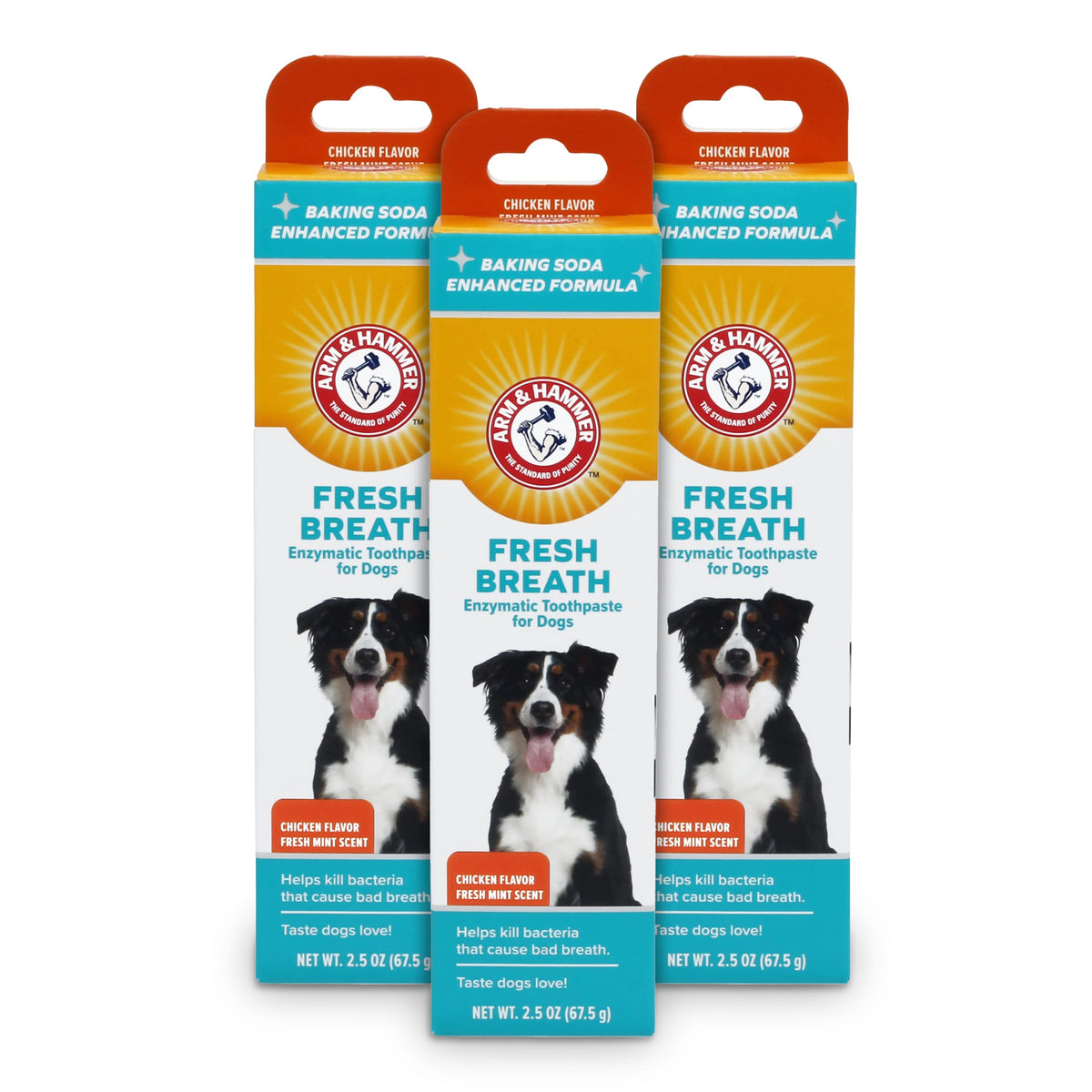 Arm & Hammer For Pets Dental Toothpaste For Dogs | No More Doggie Breath | Safe For All Dogs And Puppies | Chicken Flavor Dog To