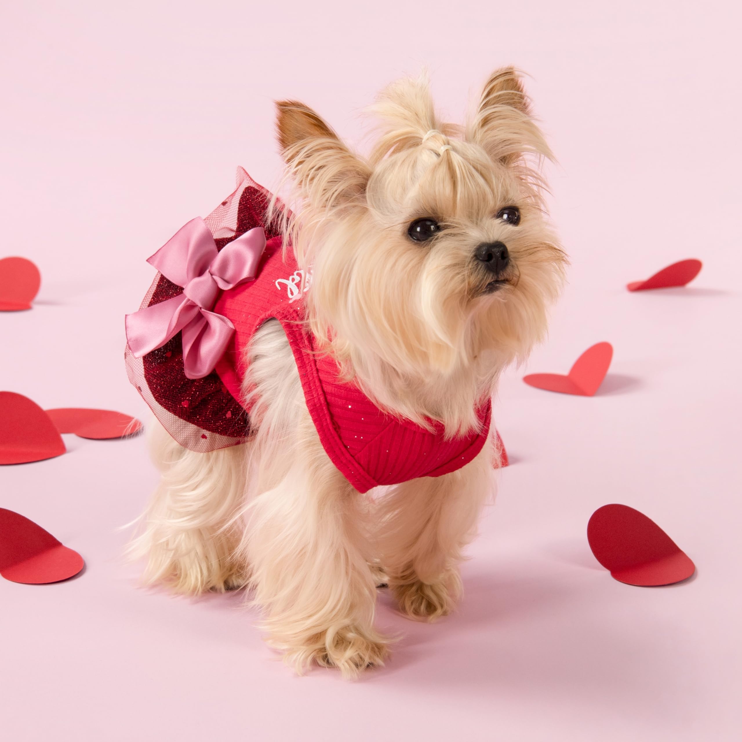 Fitwarm Cuter Than Cupid Dog Tulle Dress, Cute Girl Dog Clothes, Funny Pet Apparel, Burgundy Red, Xs