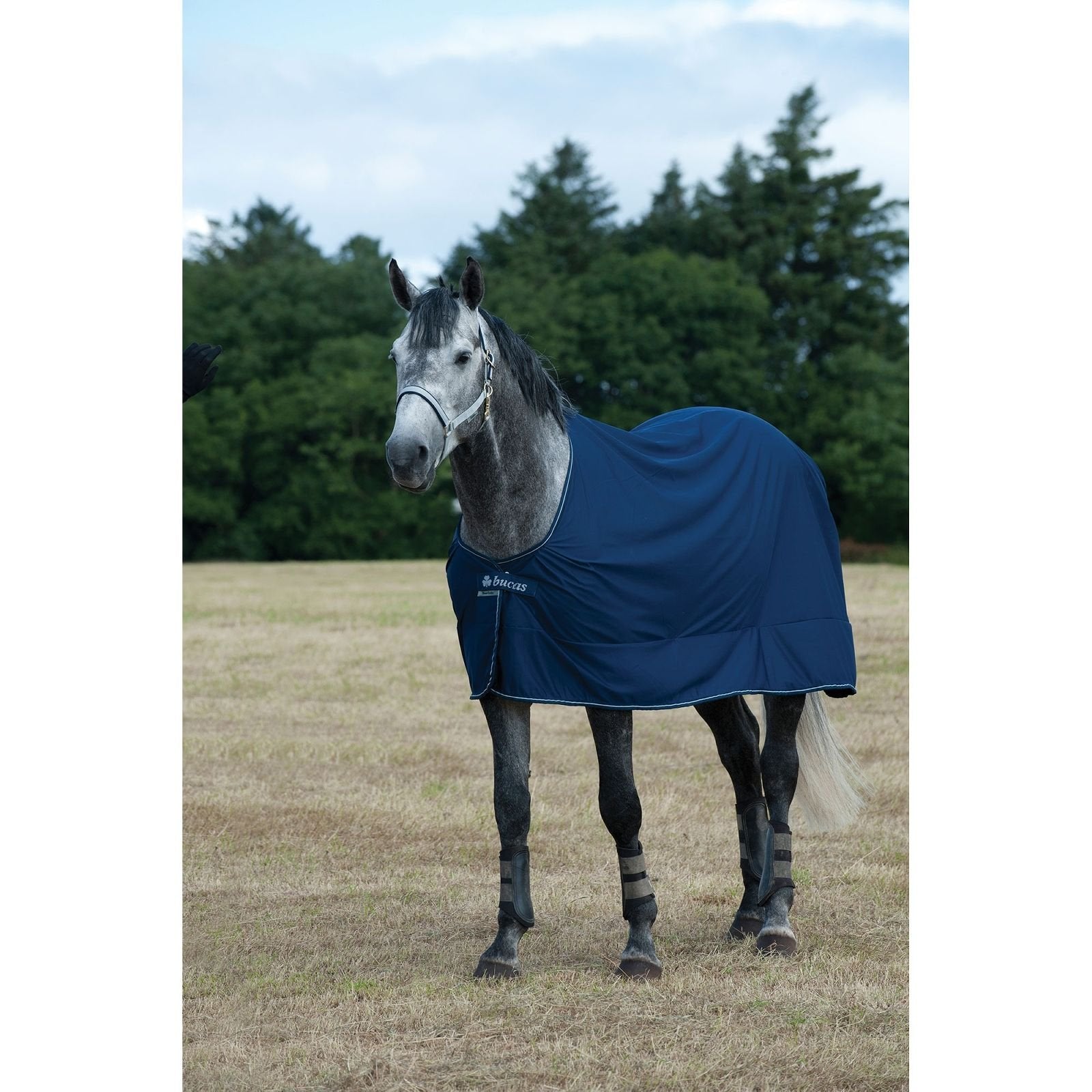 Bucas Power Cooler 72 Navy