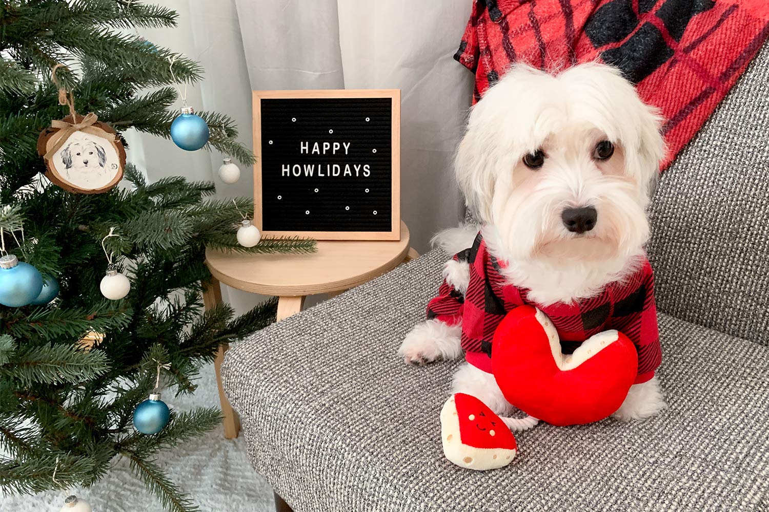 Pearhead Christmas Dog Toy, to All a Gouda Night Cheese Wheel Toy, Holiday Dog Rope Toy, Pet Stocking Stuffer