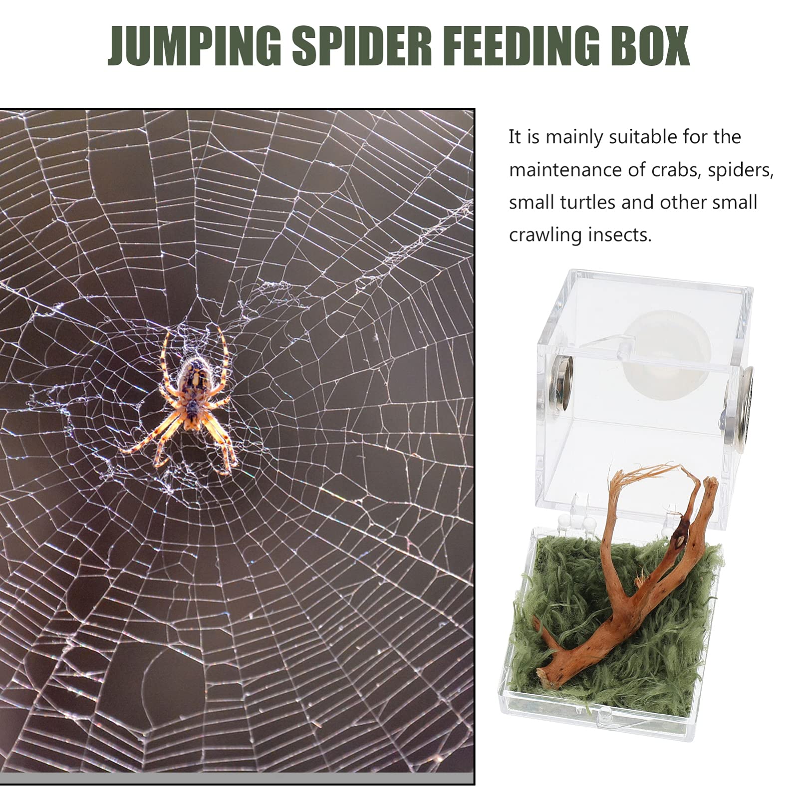2Set Spider Habitat Box Small Transparent Breeding Enclosure For Jumping Spiders And Reptiles Lightweight Design For Easy Outdoo