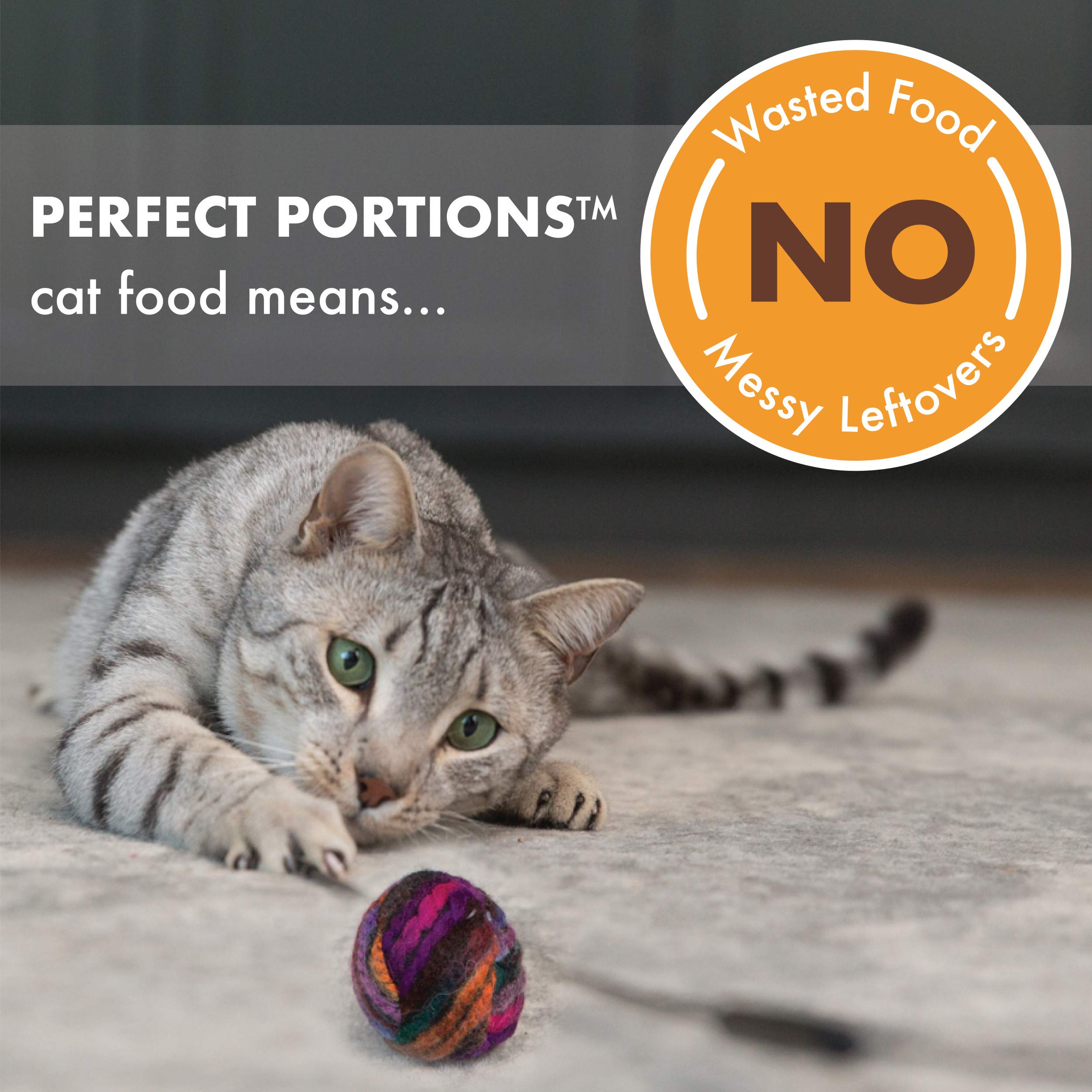 NUTRO Grain Free Natural Soft Wet Cat Food Cuts in Gravy Turkey Recipe, (24) 2.6 oz. PERFECT PORTIONS Twin-Pack Trays