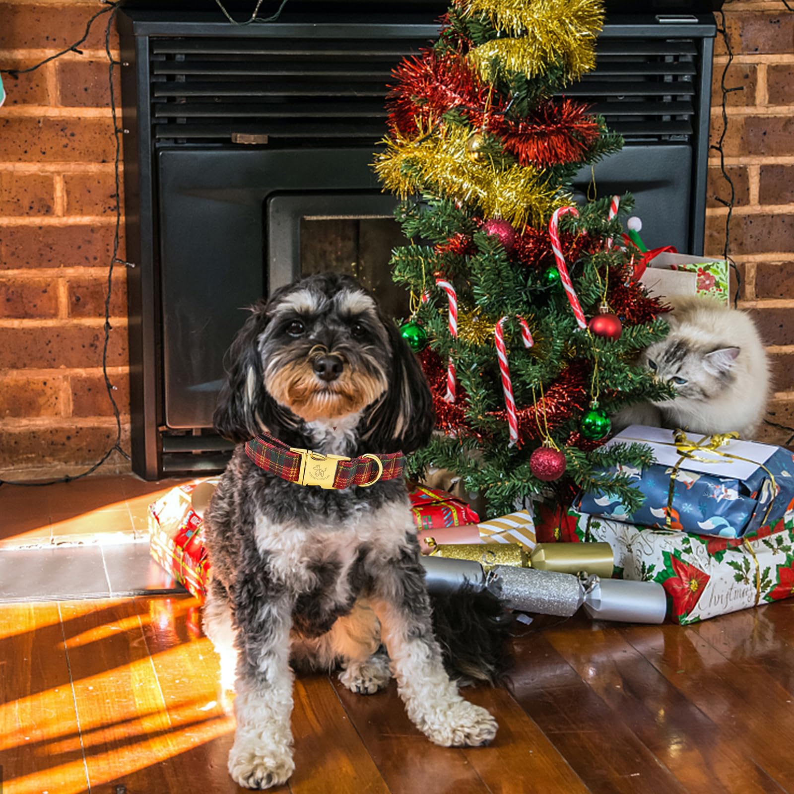 Elegant Little Tail Dog Collar, Christmas Red Plaid Pet Collar Cute Dog Collars Male Or Female Pet Gift Adjustable Dog Collar Fo